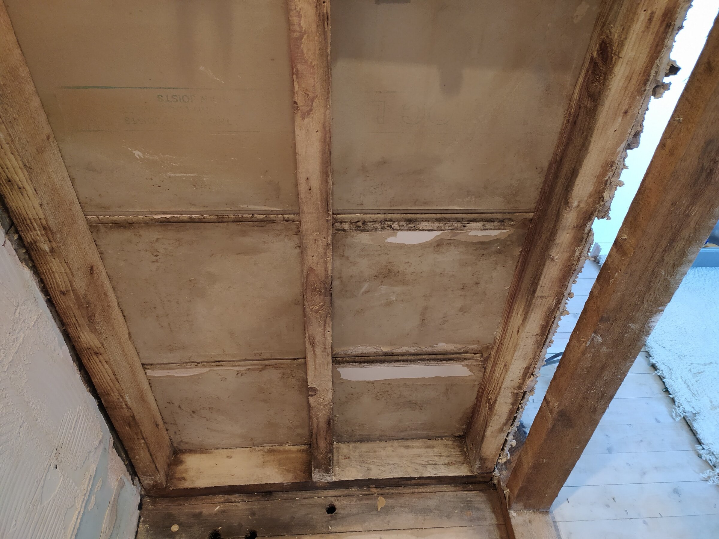 Damp Does all plaster board need to be replaced? DIYnot Forums