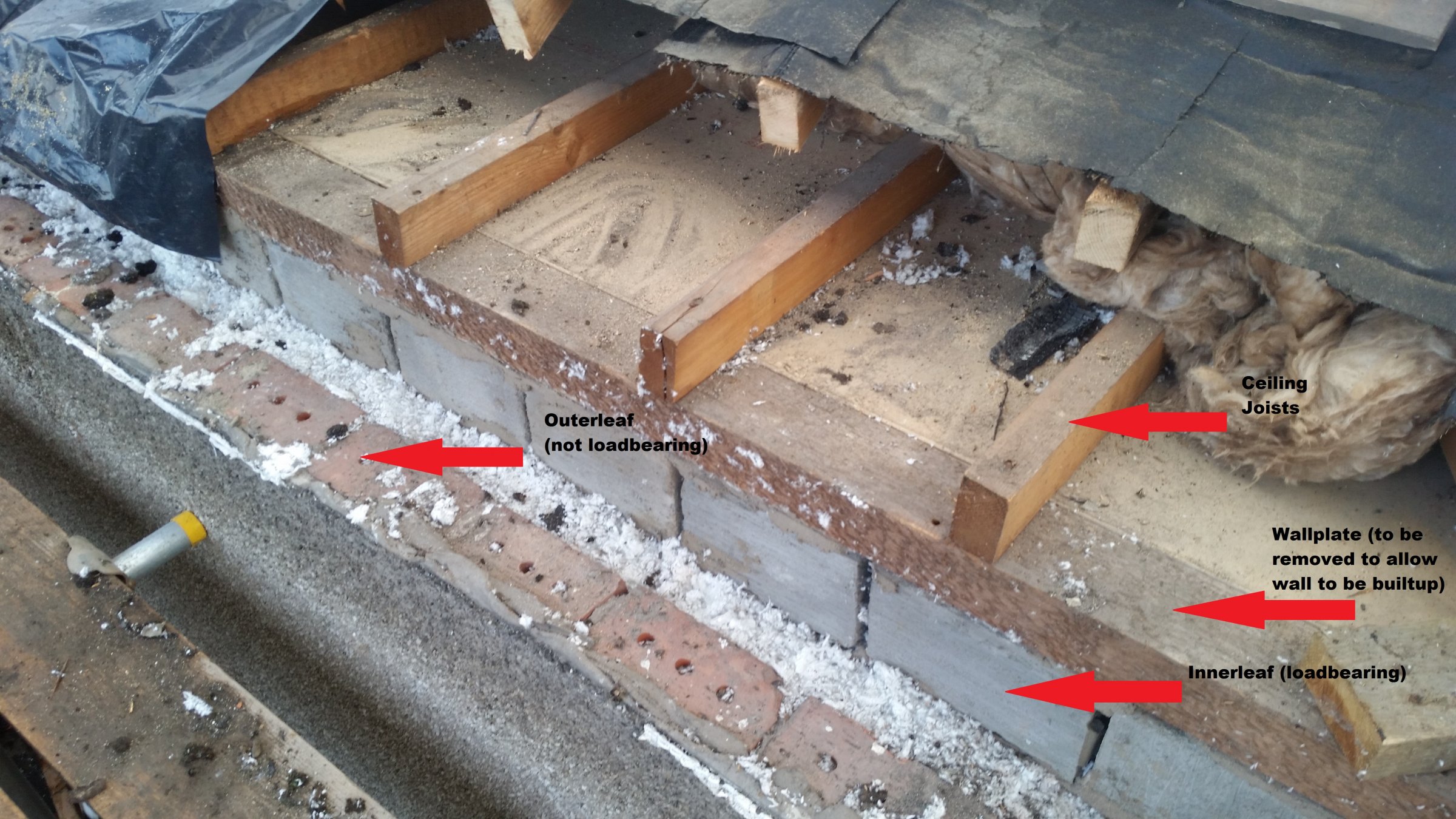 20170416_185811-ceiling Joists