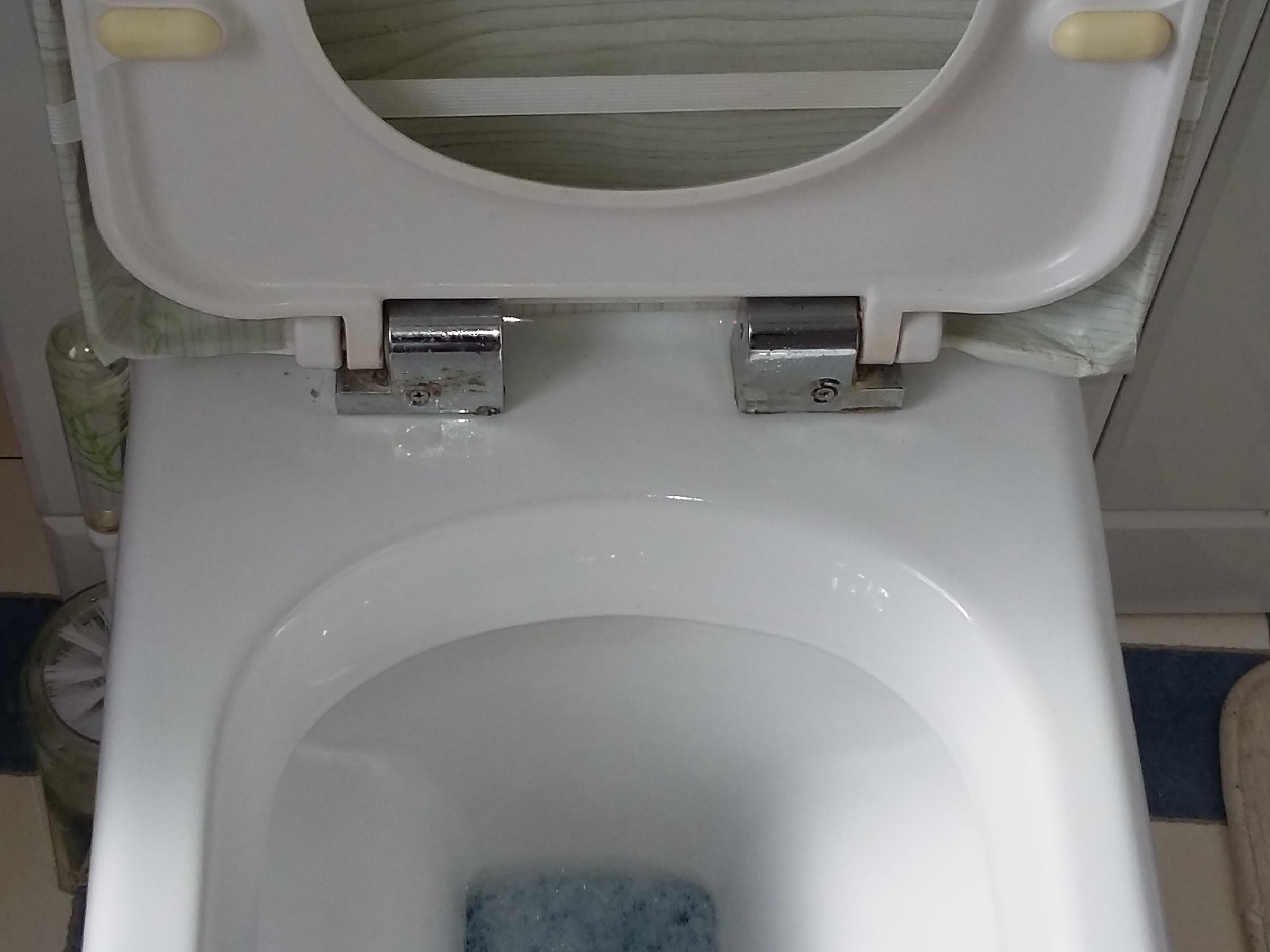 Toilet seat replacement on back to the wall toilet DIYnot Forums