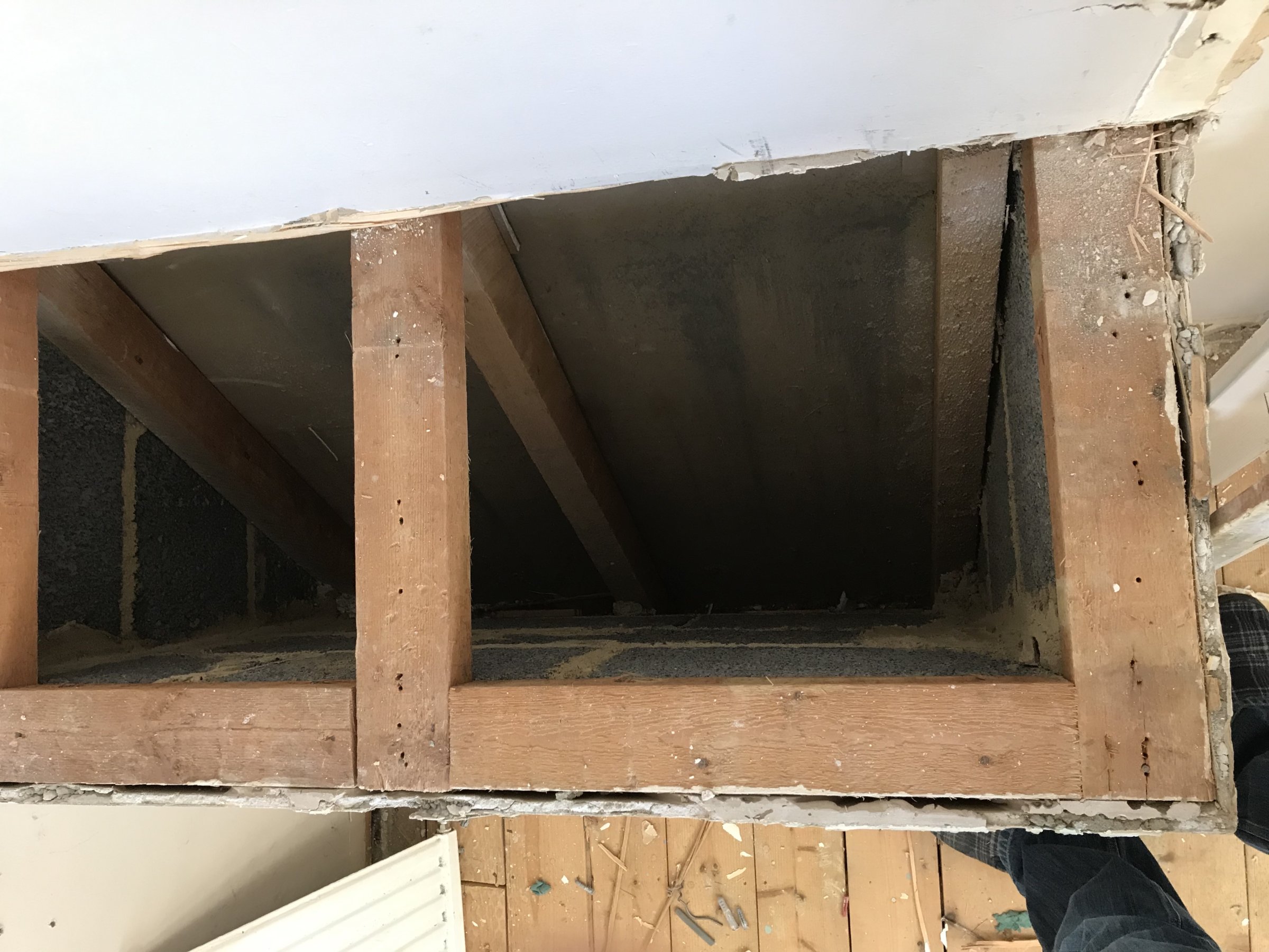 20190108_100623980_iOS