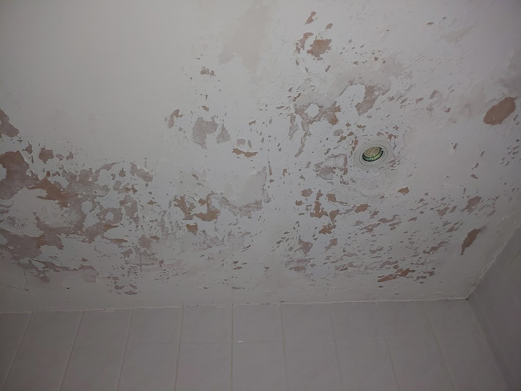 20200723_01BathroomPreScrape