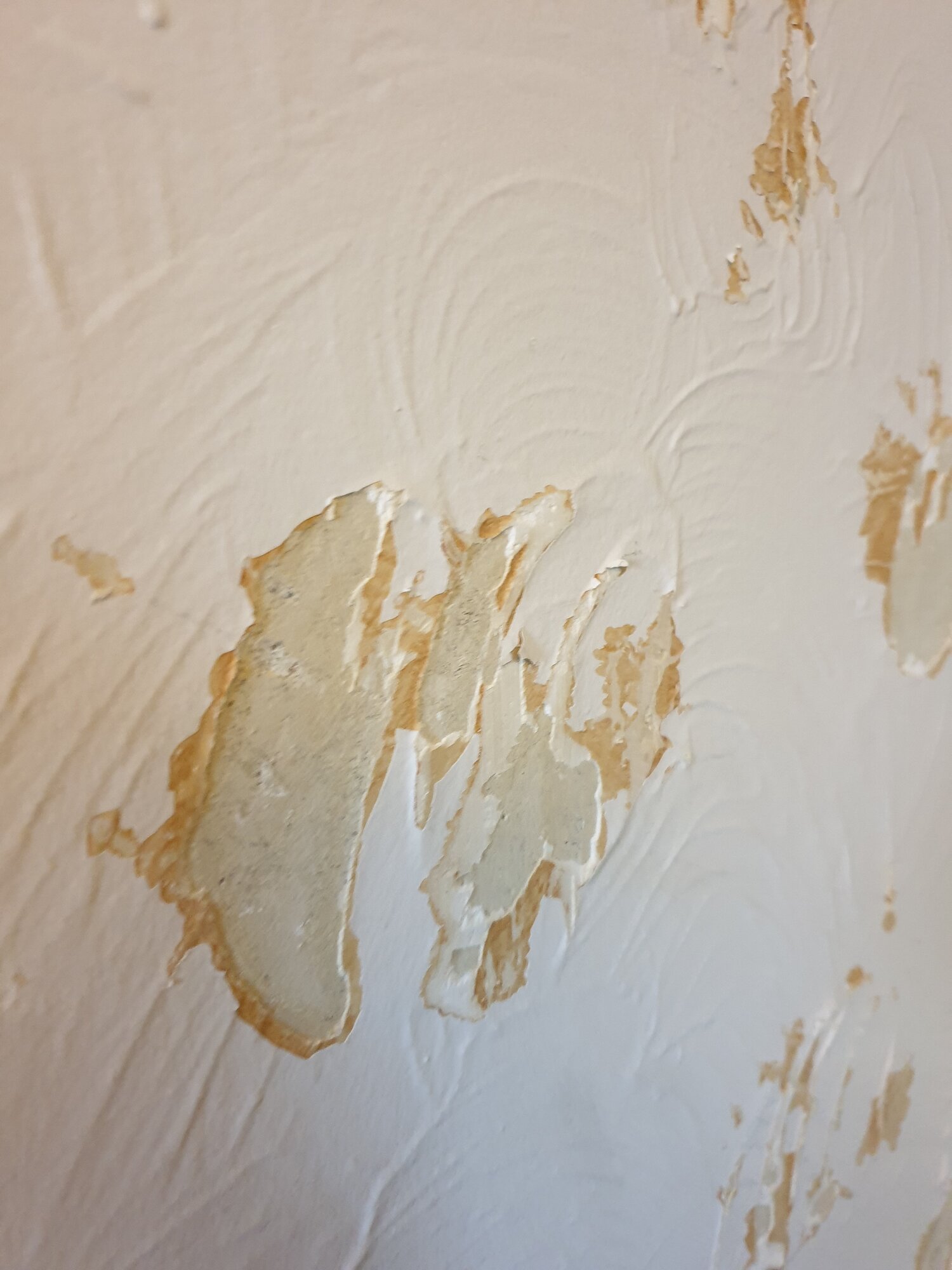 Worried about asbestos in Artex DIYnot Forums