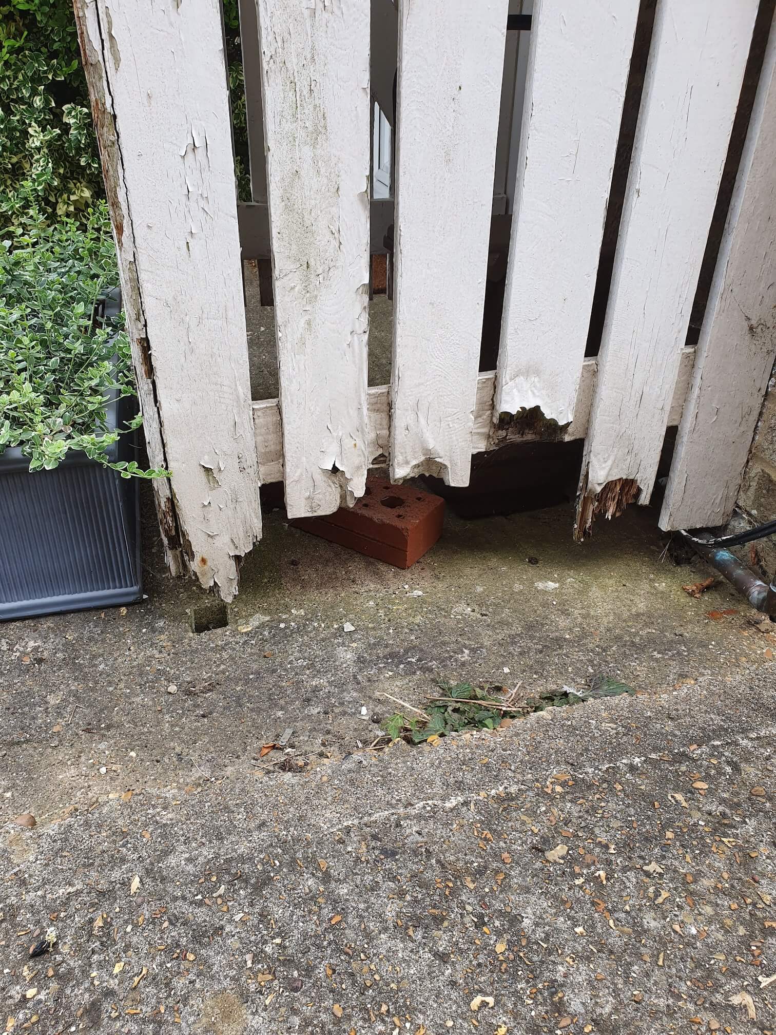 20220523_162840 (1).jpg