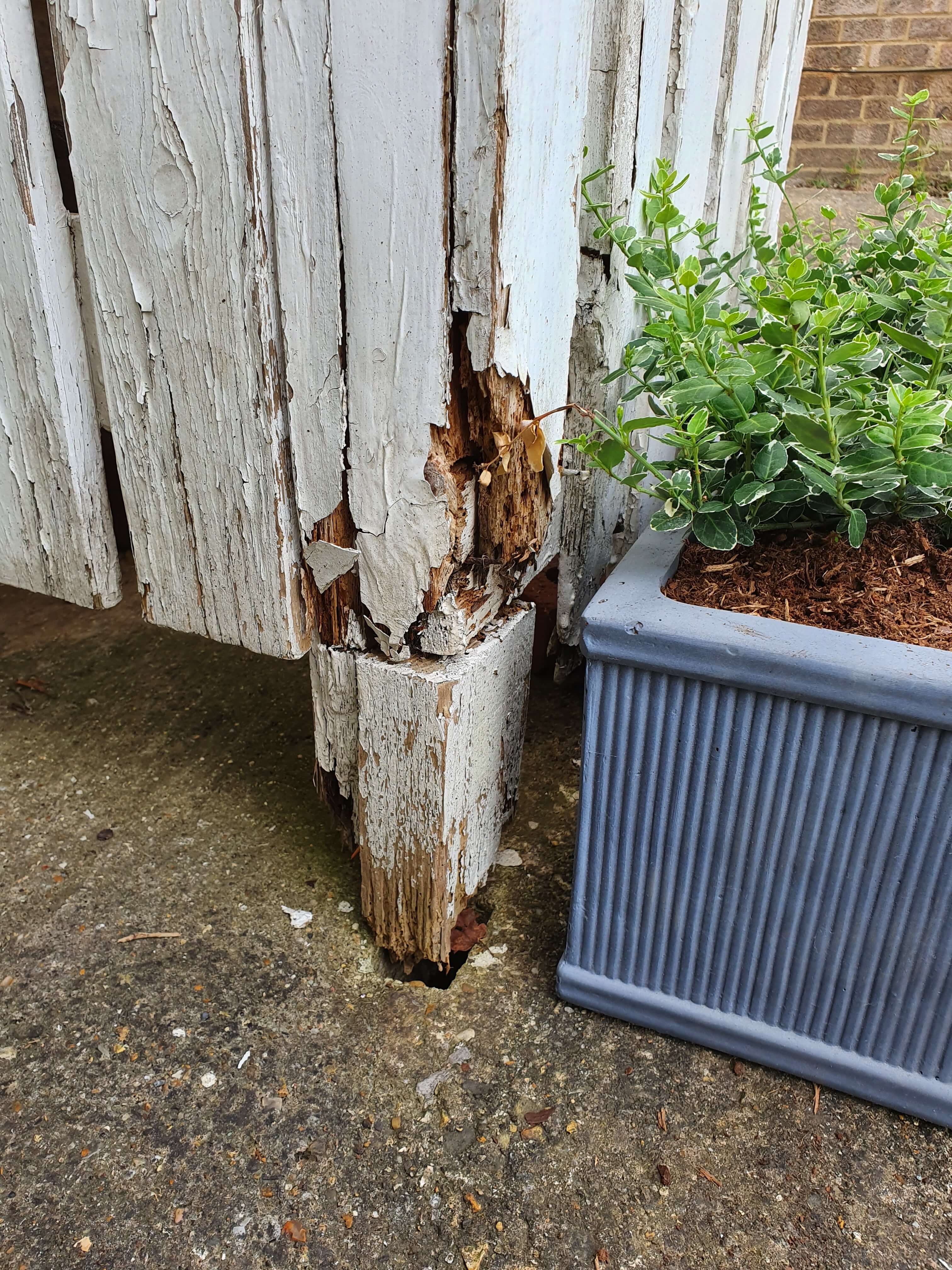 20220523_162848 (1).jpg