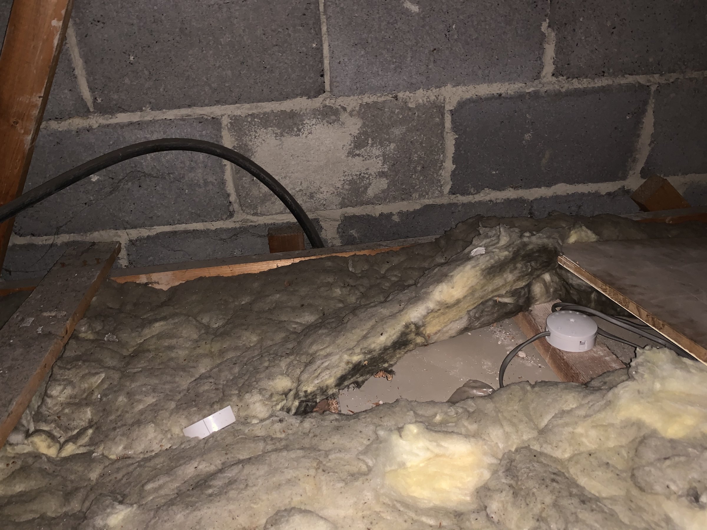 24041D15-2E86-46F0-8E18-AFB97B668F4C