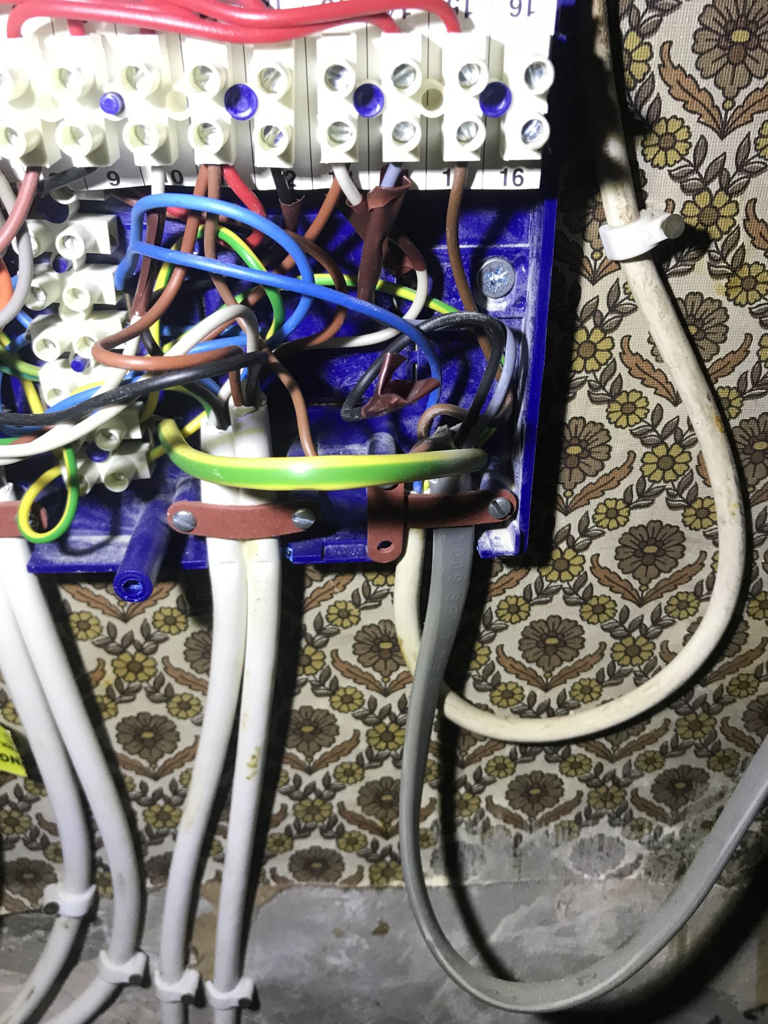 24F139E3-65E1-4A76-BA4E-4D2F7163ABDA