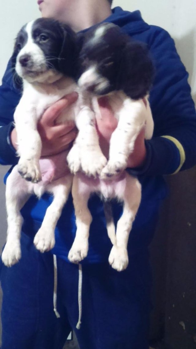 25256982-254-640x1138-2