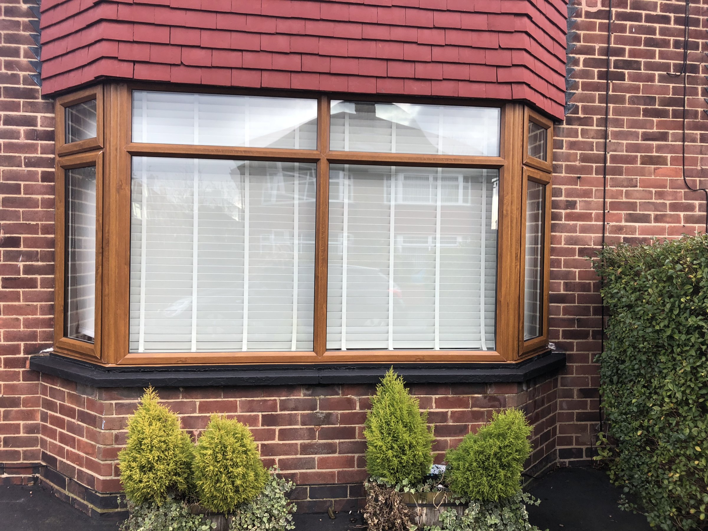 30BBBA04-68F4-43CB-9BBA-5F39424278AF