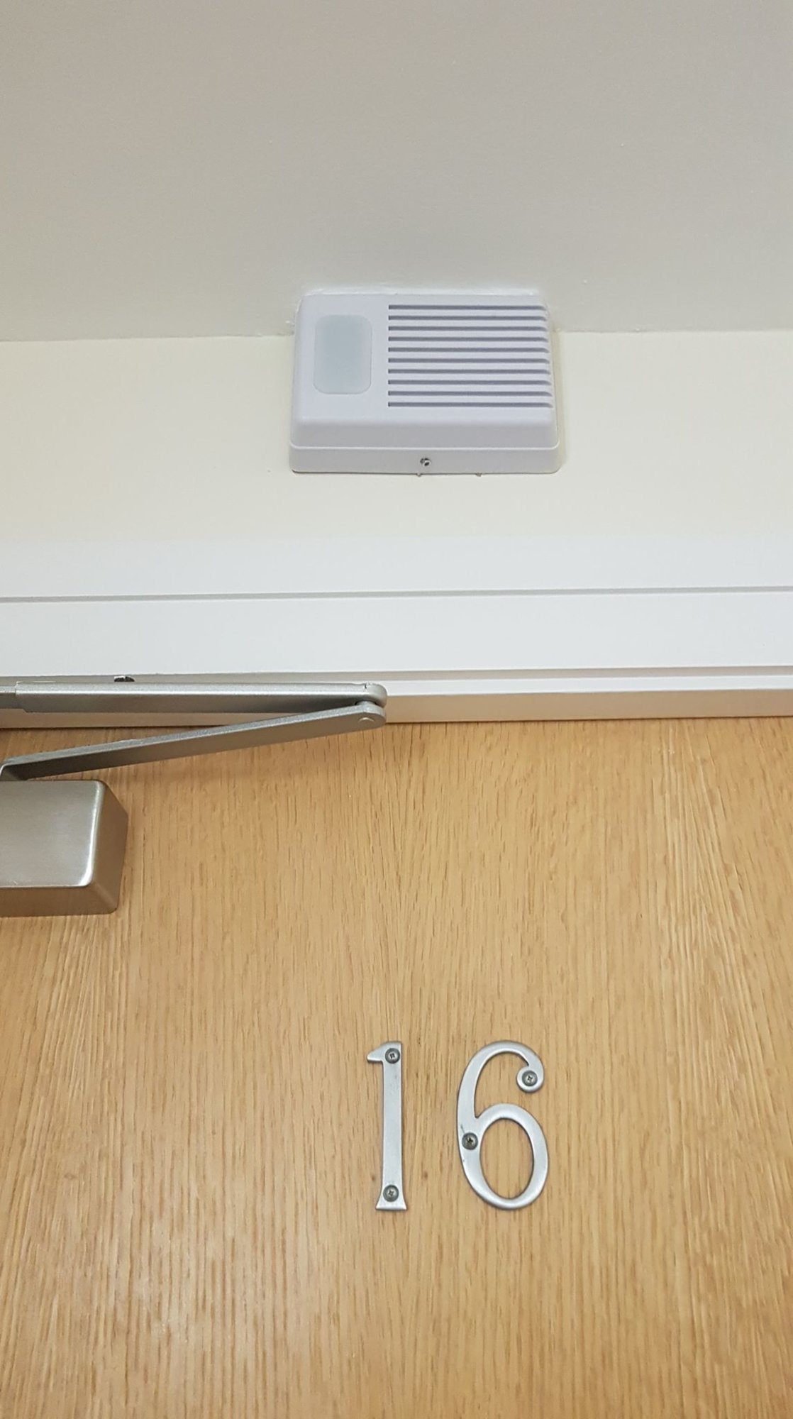 35888213_1755393327872986_6679753749734359040_n