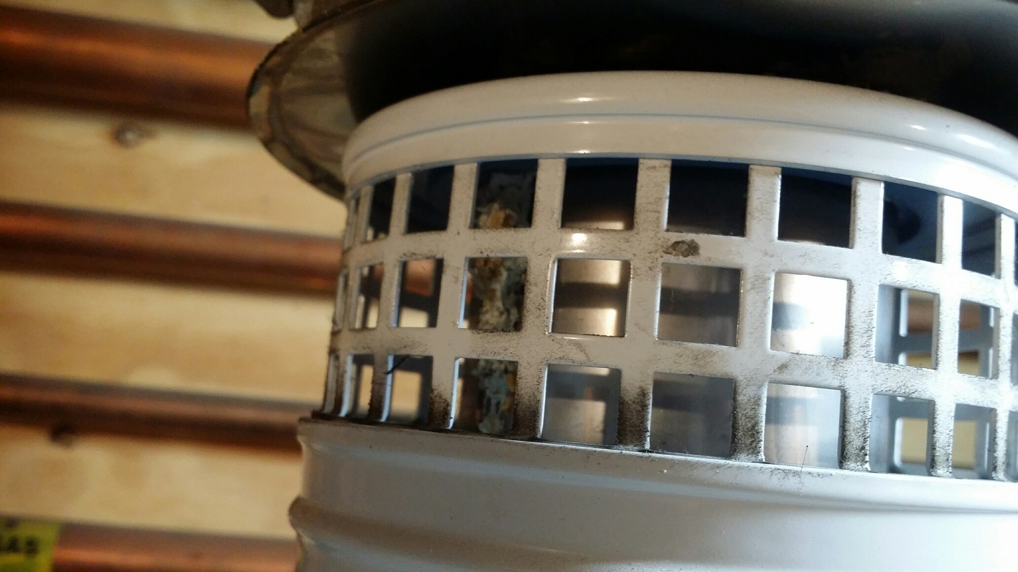 35DD484D-4587-475C-B6E5-40603AB51306