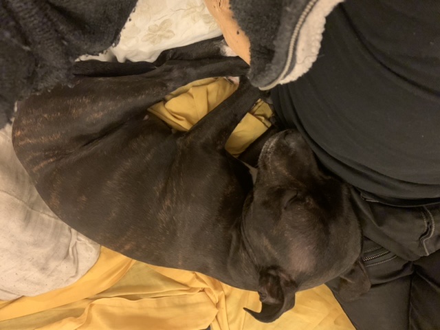 37151E71-96C2-4F1E-BEC2-43FC7AC06643