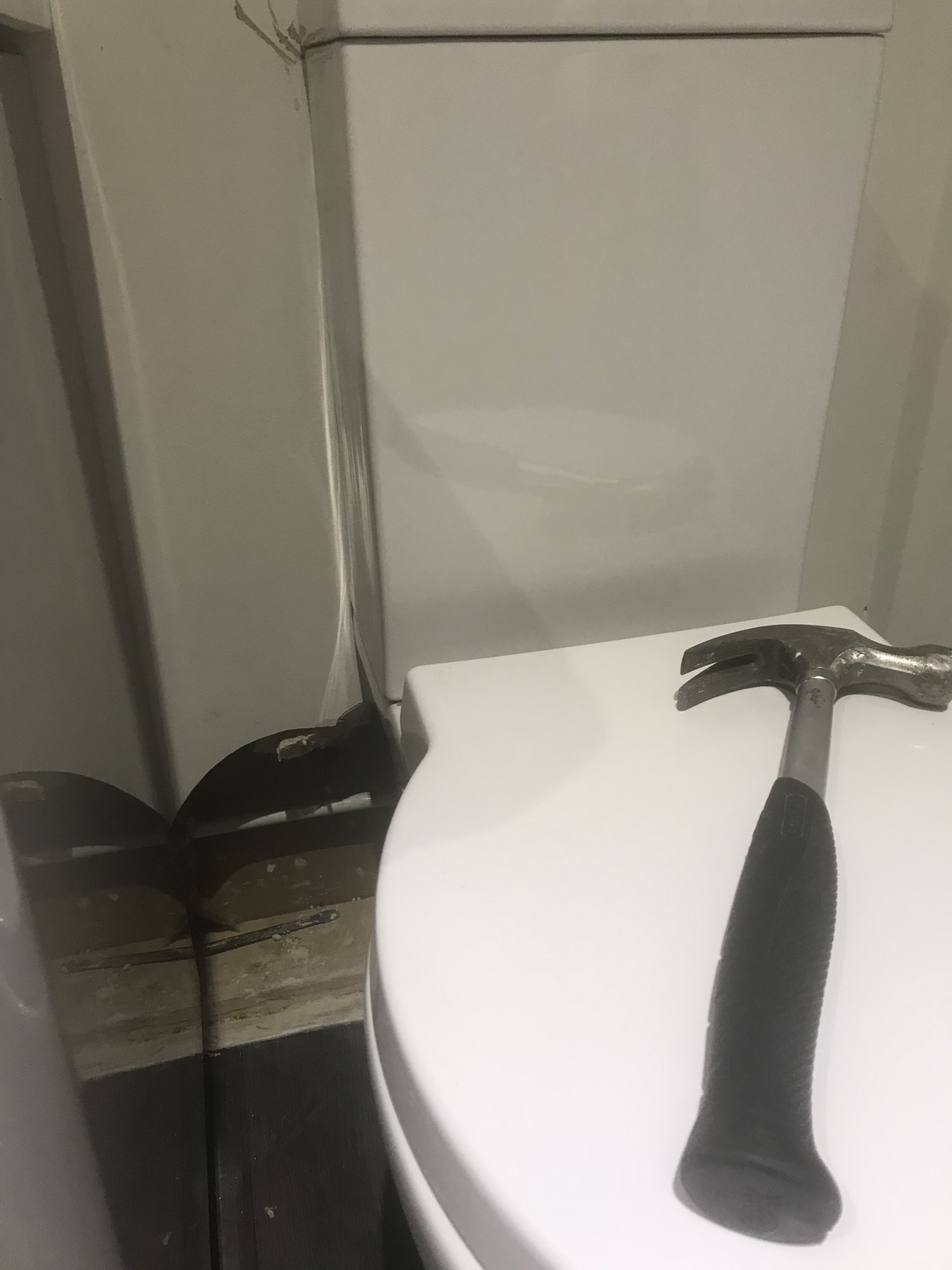 3B145575-6C09-4C63-AF89-B77829ADA349