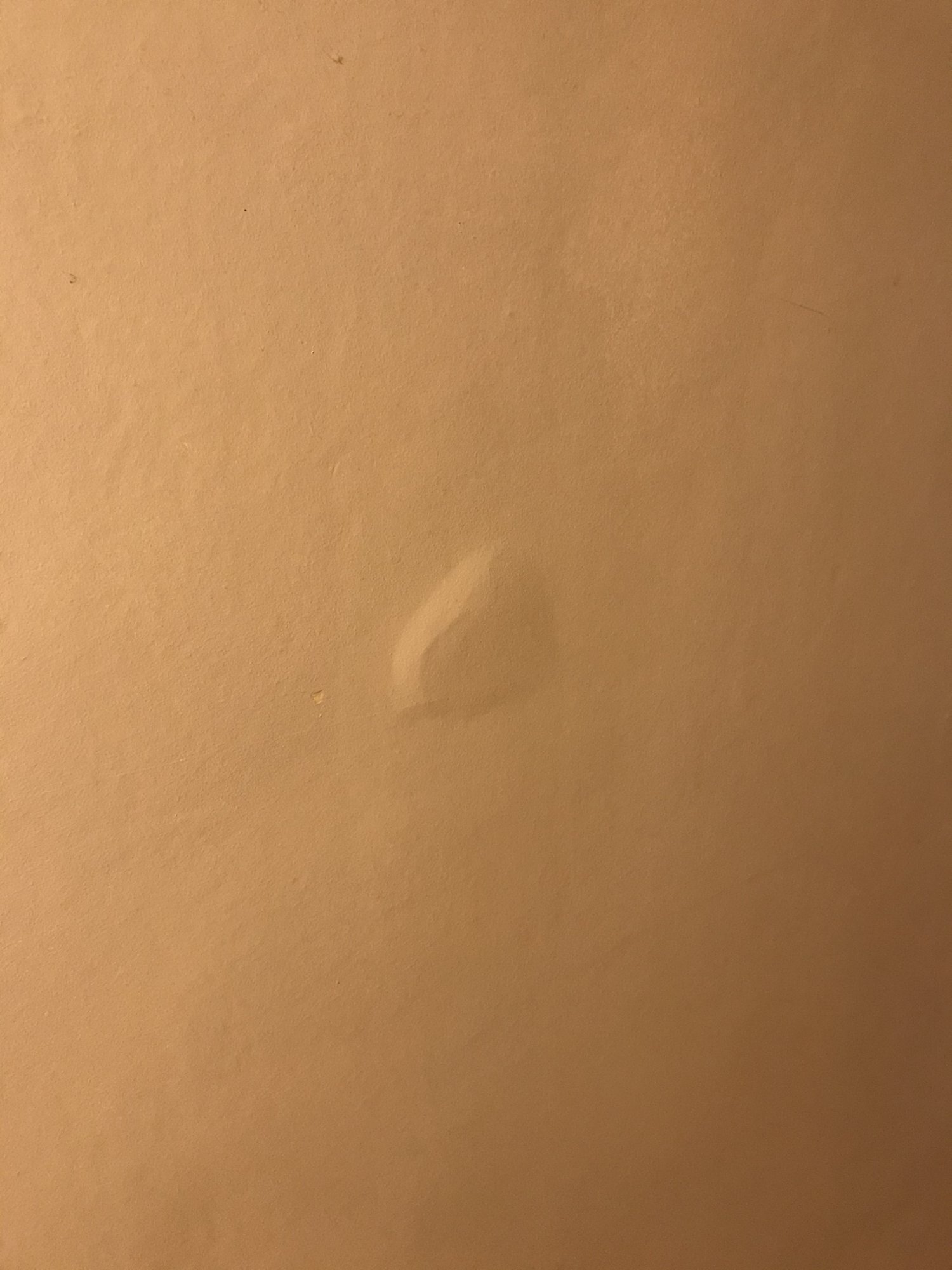 3B34B37F-F992-492B-98EA-AE7AD1BE321A