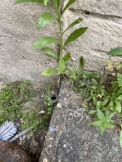 3DB746B7-6C09-4FB5-8A45-210E85D1E27F