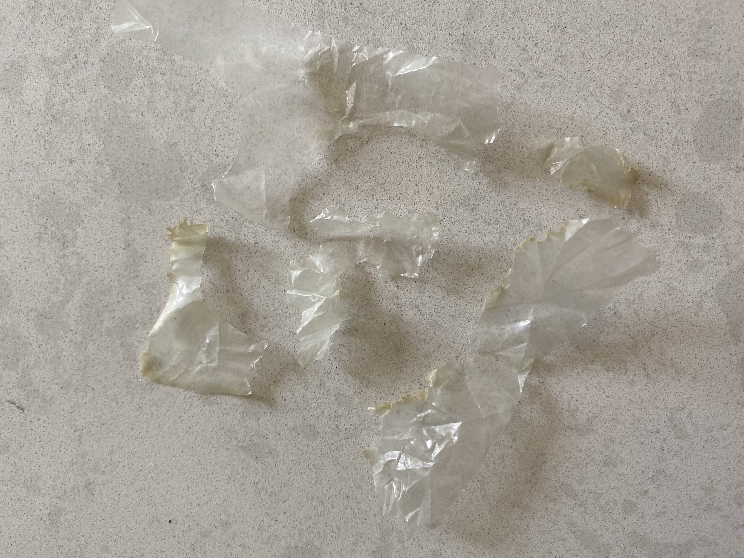 3EE17434-AFEA-4A84-AFCB-7B3C915865B3