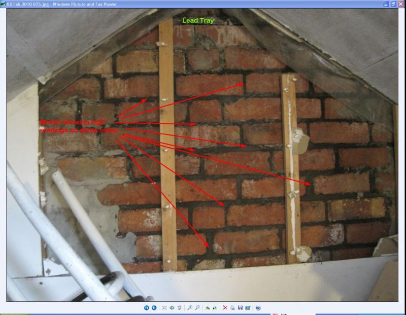 4. Damp masonary in loft