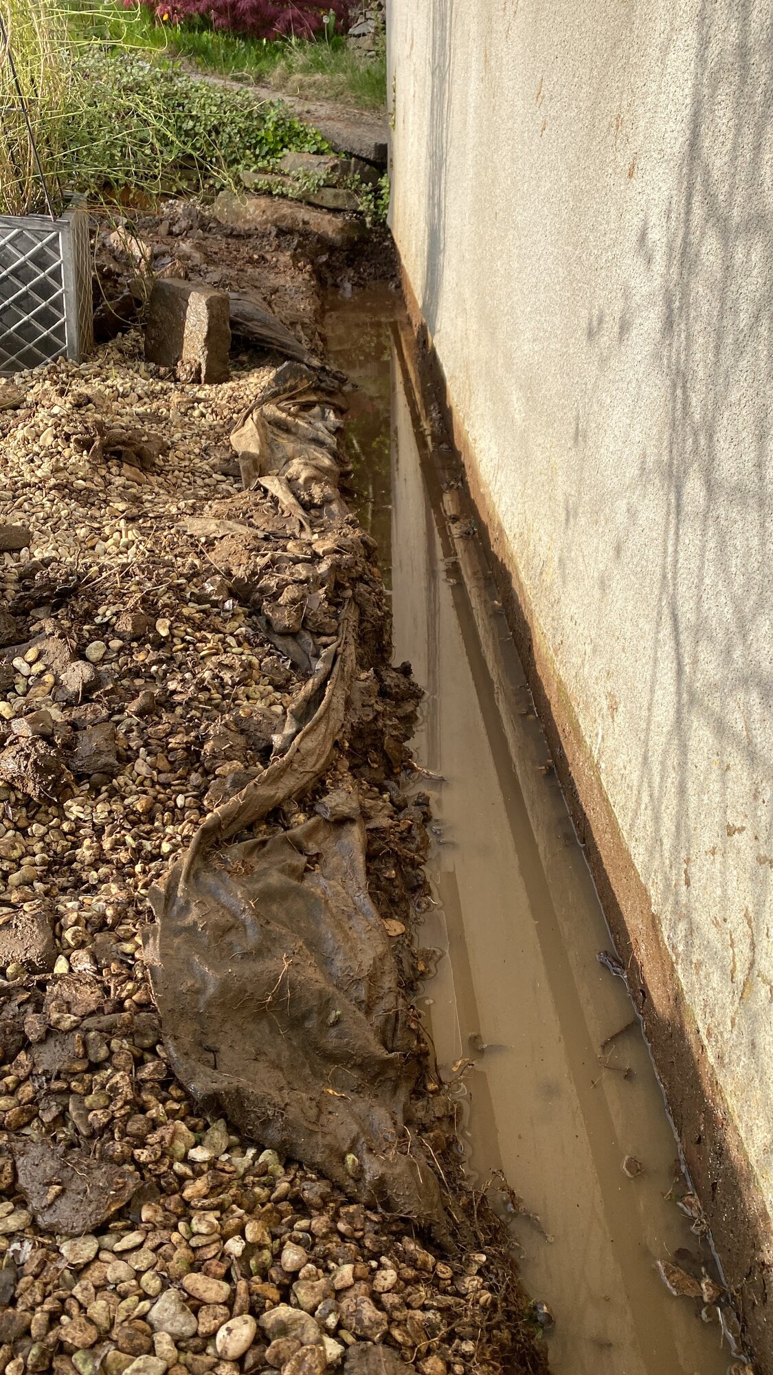 4083242D-C8E4-48BA-AB23-652F6B82D777