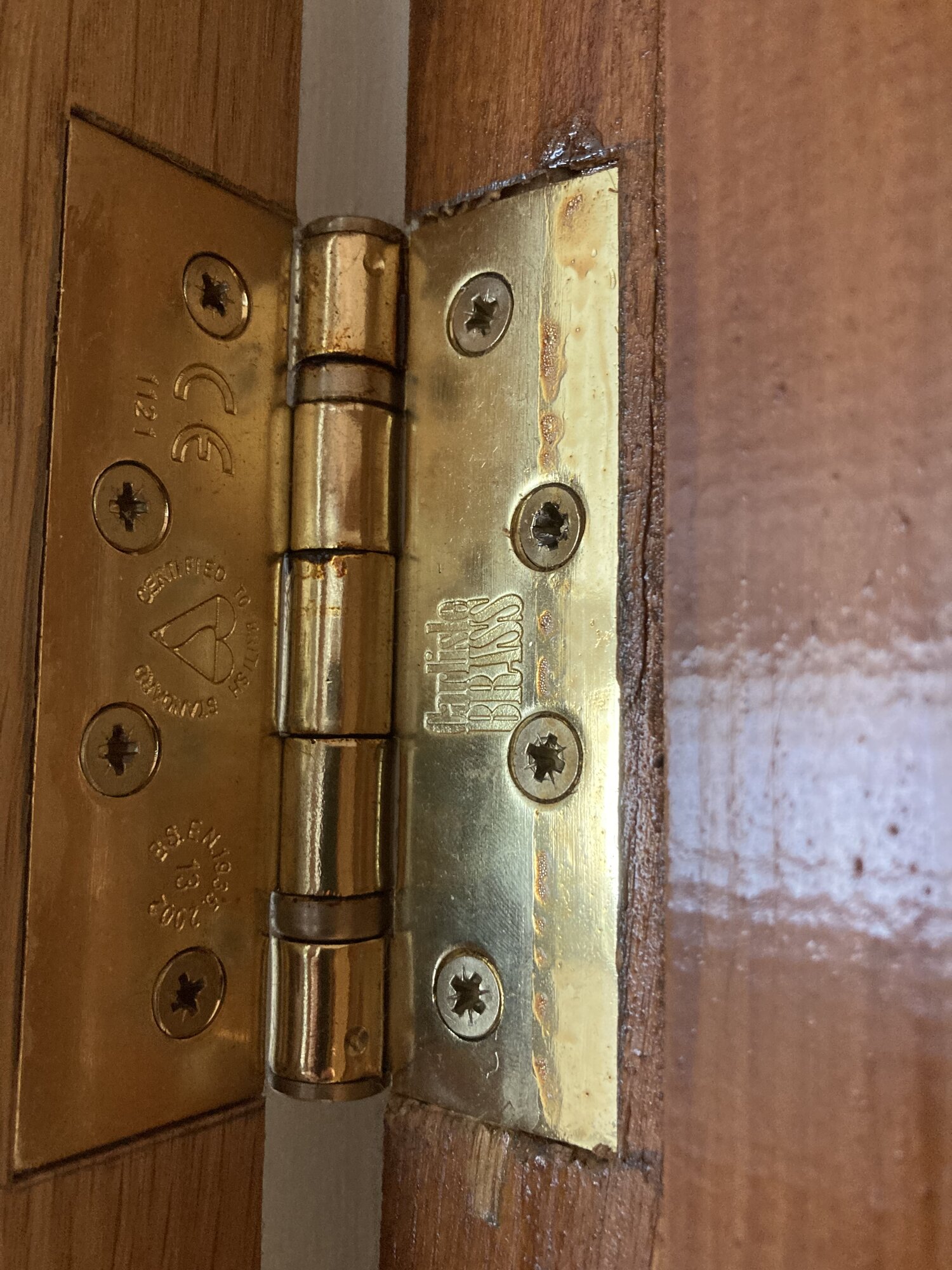 41D8B311-460B-408D-A763-9EF78A272E16