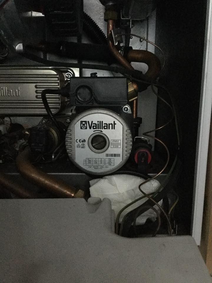 42510389_10217018796807302_3995339446739271680_n