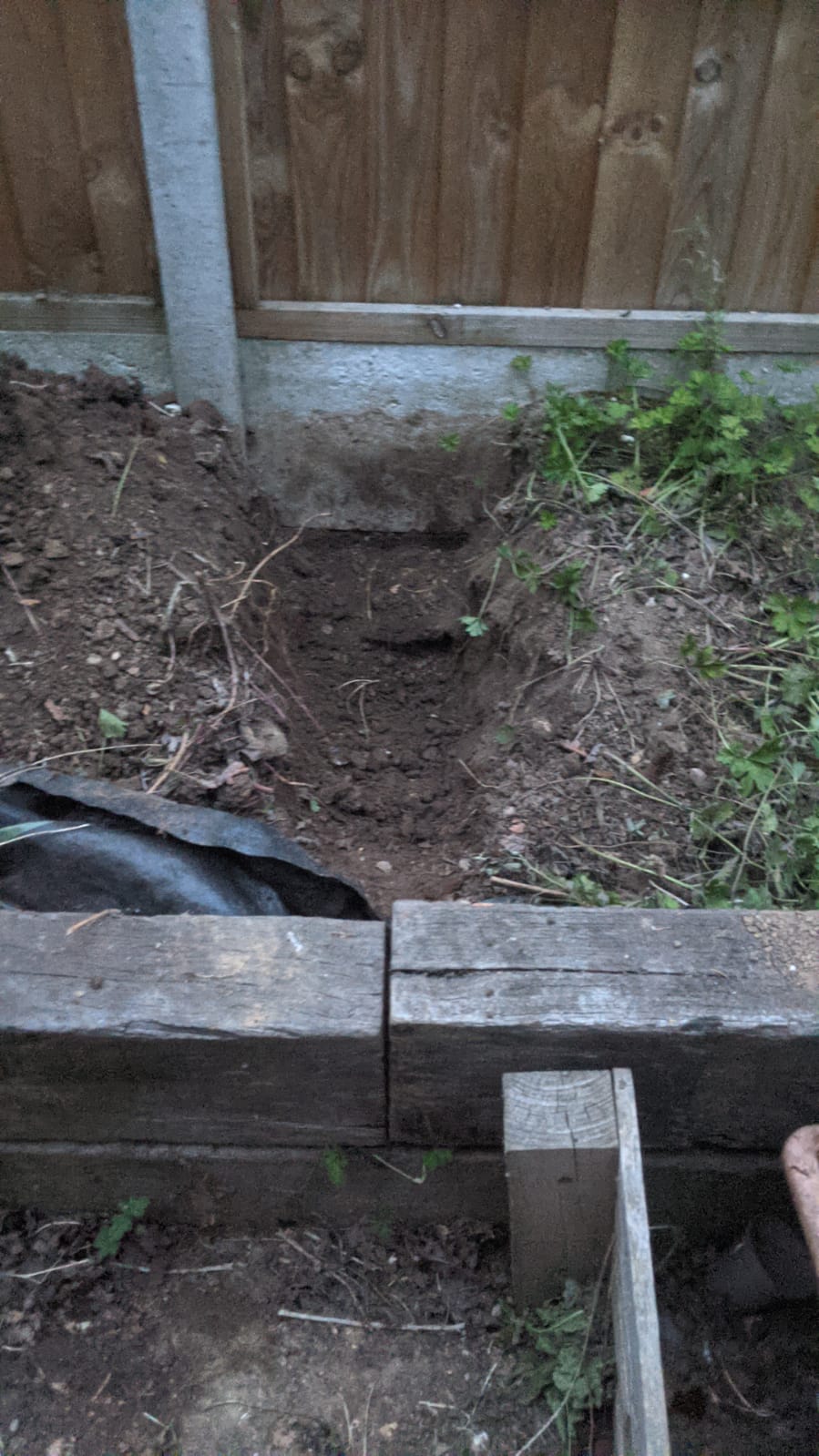 43059672-5e1e-4195-a6b7-7874f5d2d5ff