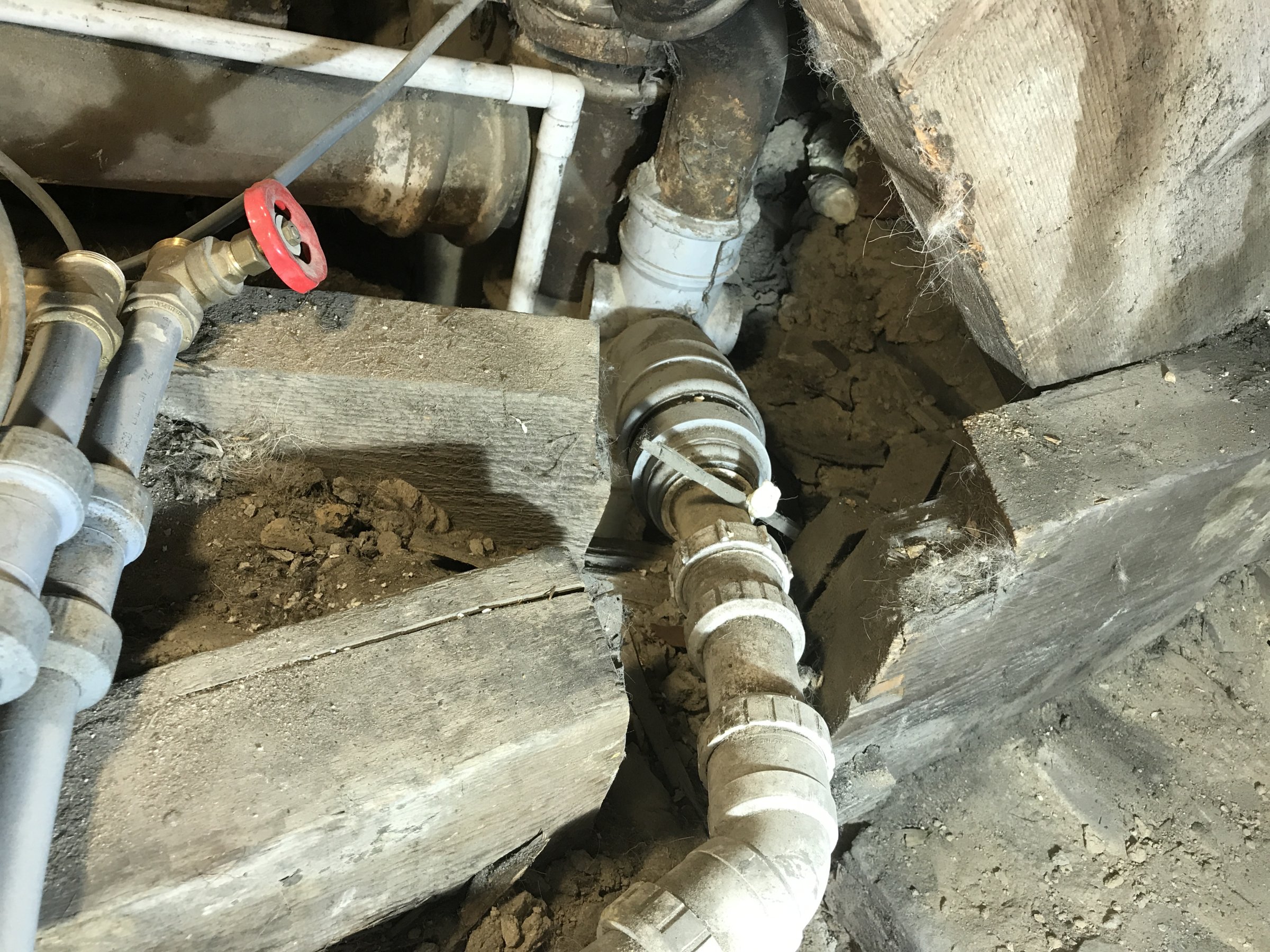 43B004E6-E318-43C2-AC53-95ADF049766C