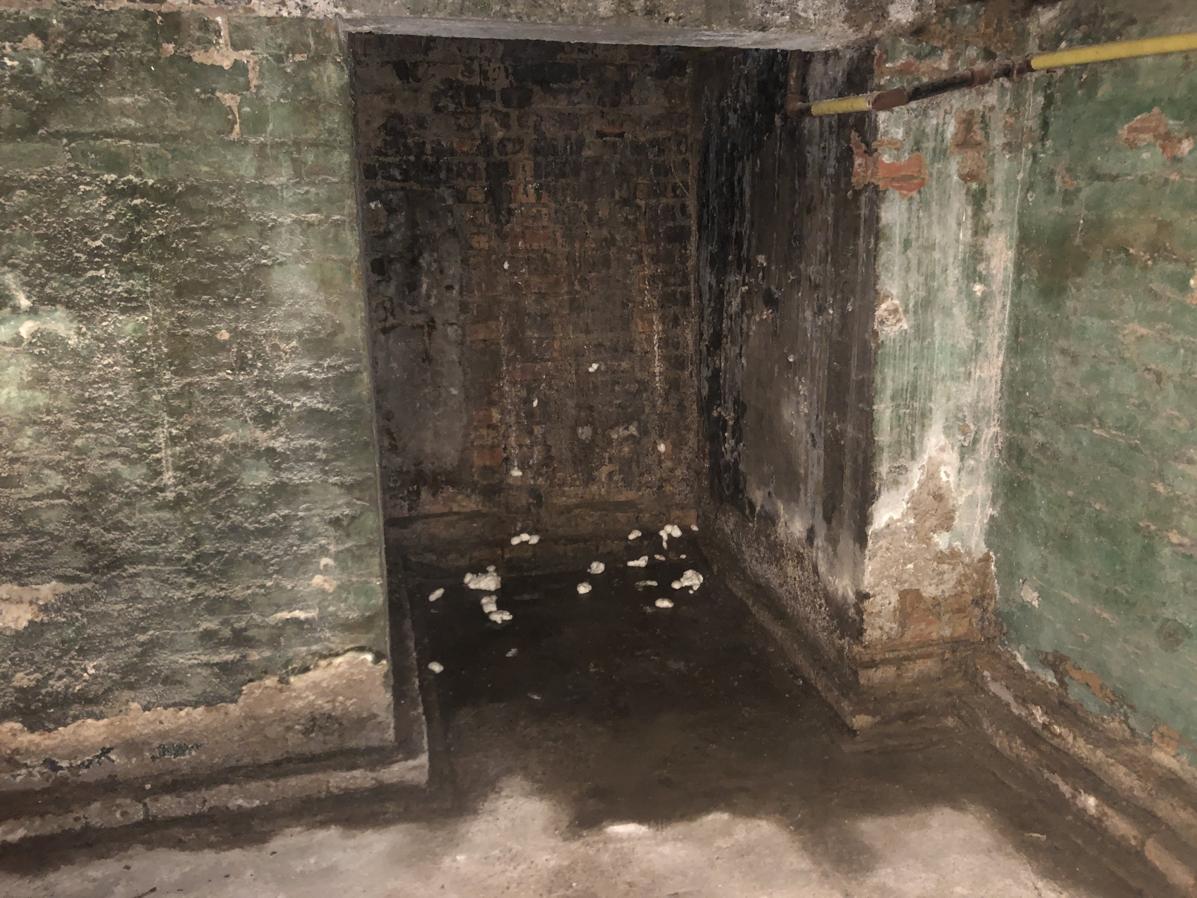 4B0E1BEE-2859-40E4-83E5-074BB9232583