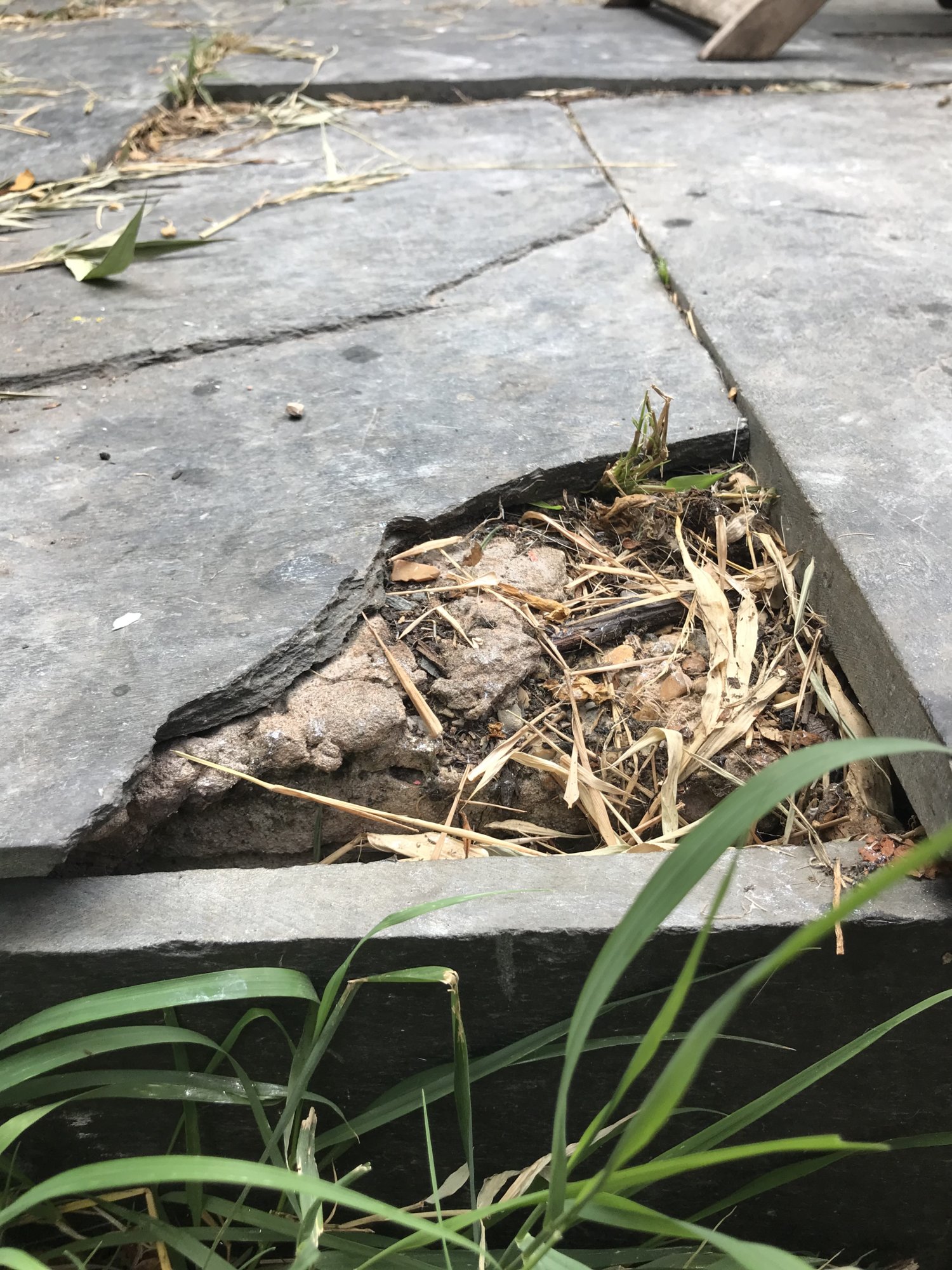 4B82C5DB-8327-4624-9BC4-0603C4BBFAC6