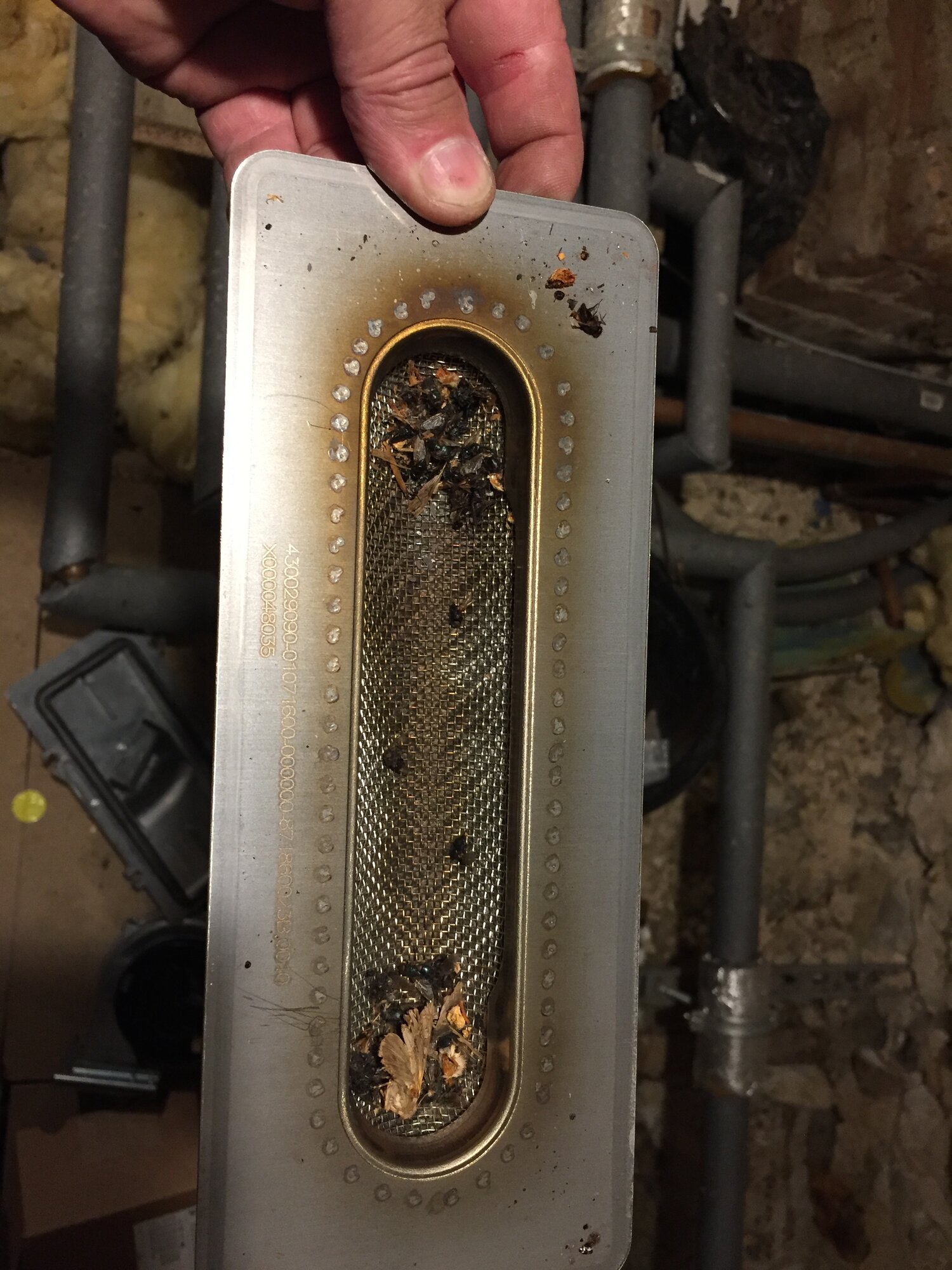 4C3F9D1B-E0E1-49AB-A073-5A17643EB5F8