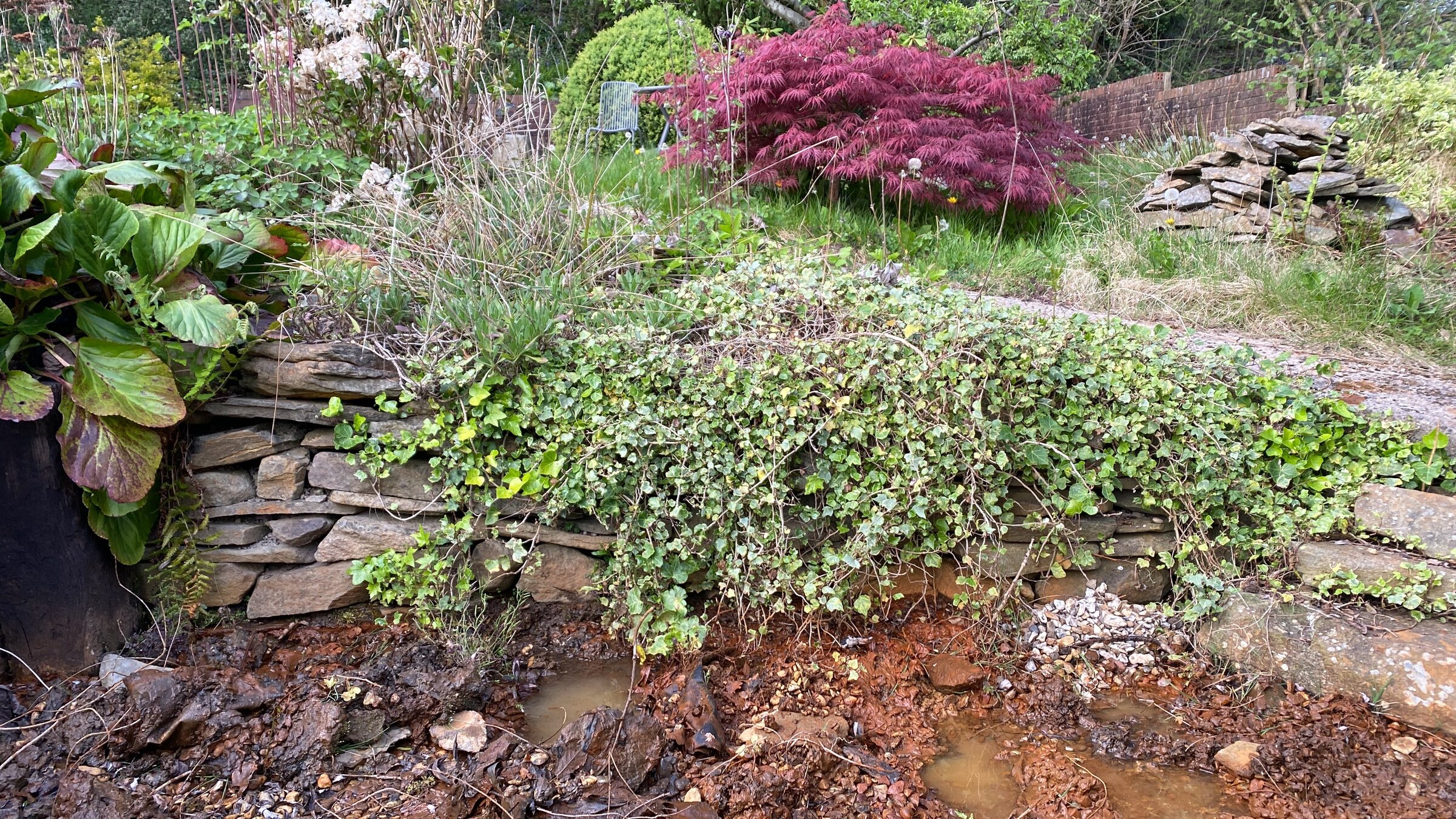 4CE4D4D6-21D6-470D-BBB4-366C6F6A8D0C