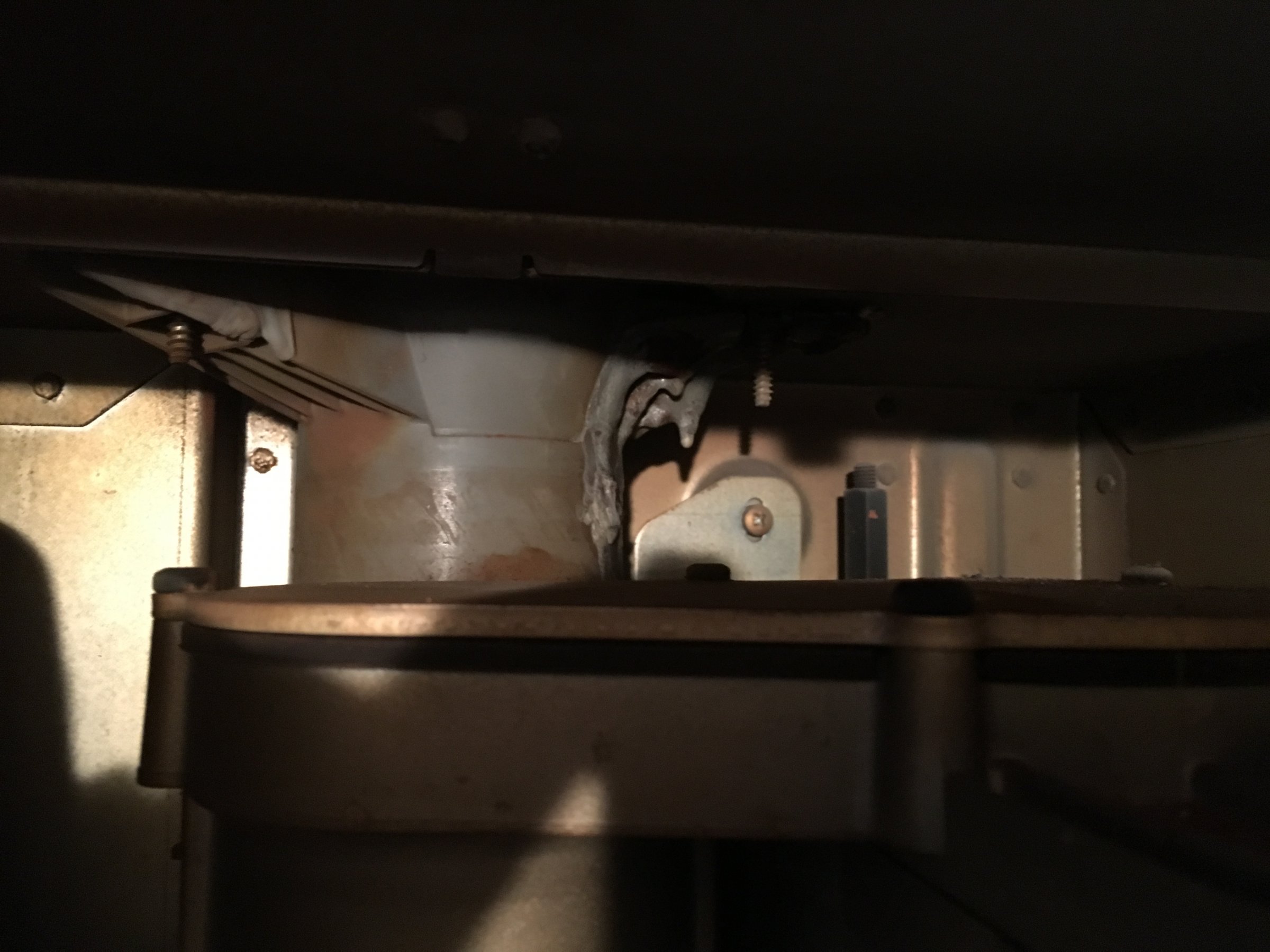 51127862890__2FCBCA92-799D-4258-969E-F4CBE7E4A032