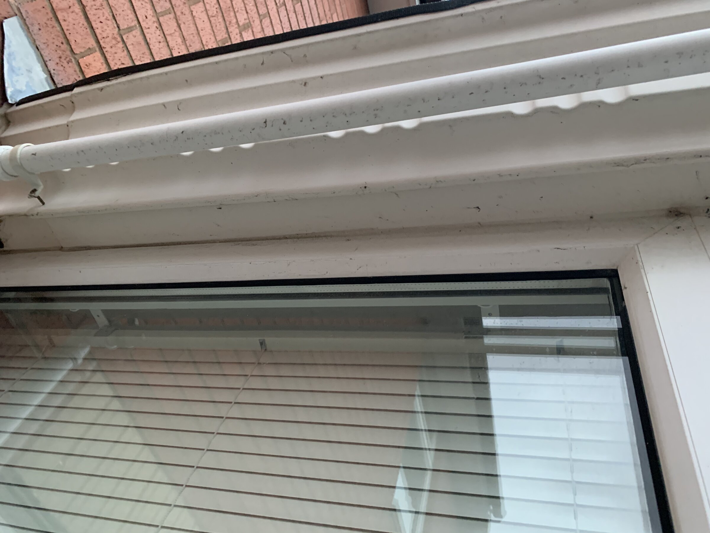 525A6051-33C8-43F0-ABA8-19B6CB3EA3E2