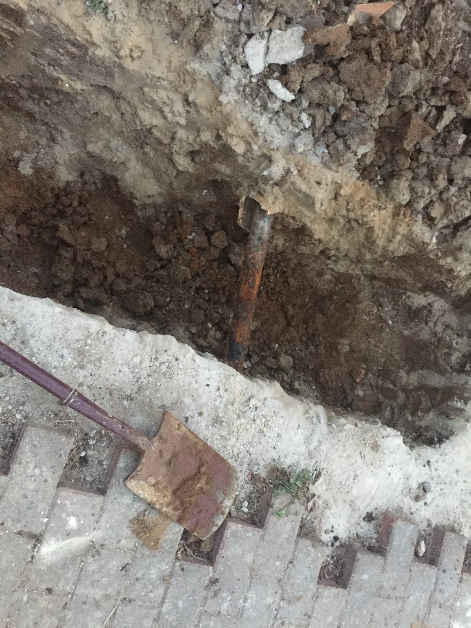 550D0CD7-6884-4121-95F5-EAC6AA49E1E2