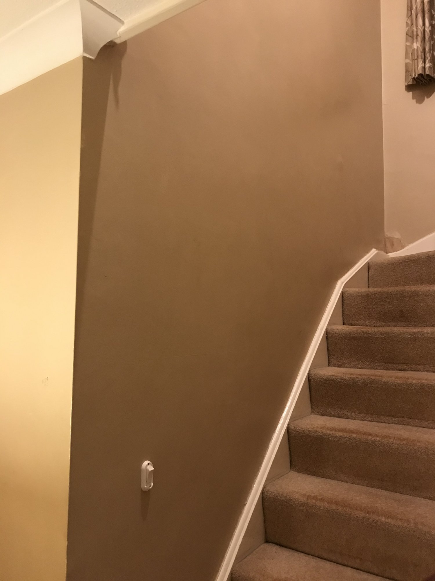 5855E08F-A401-4F20-B8C8-7E812A0D7876