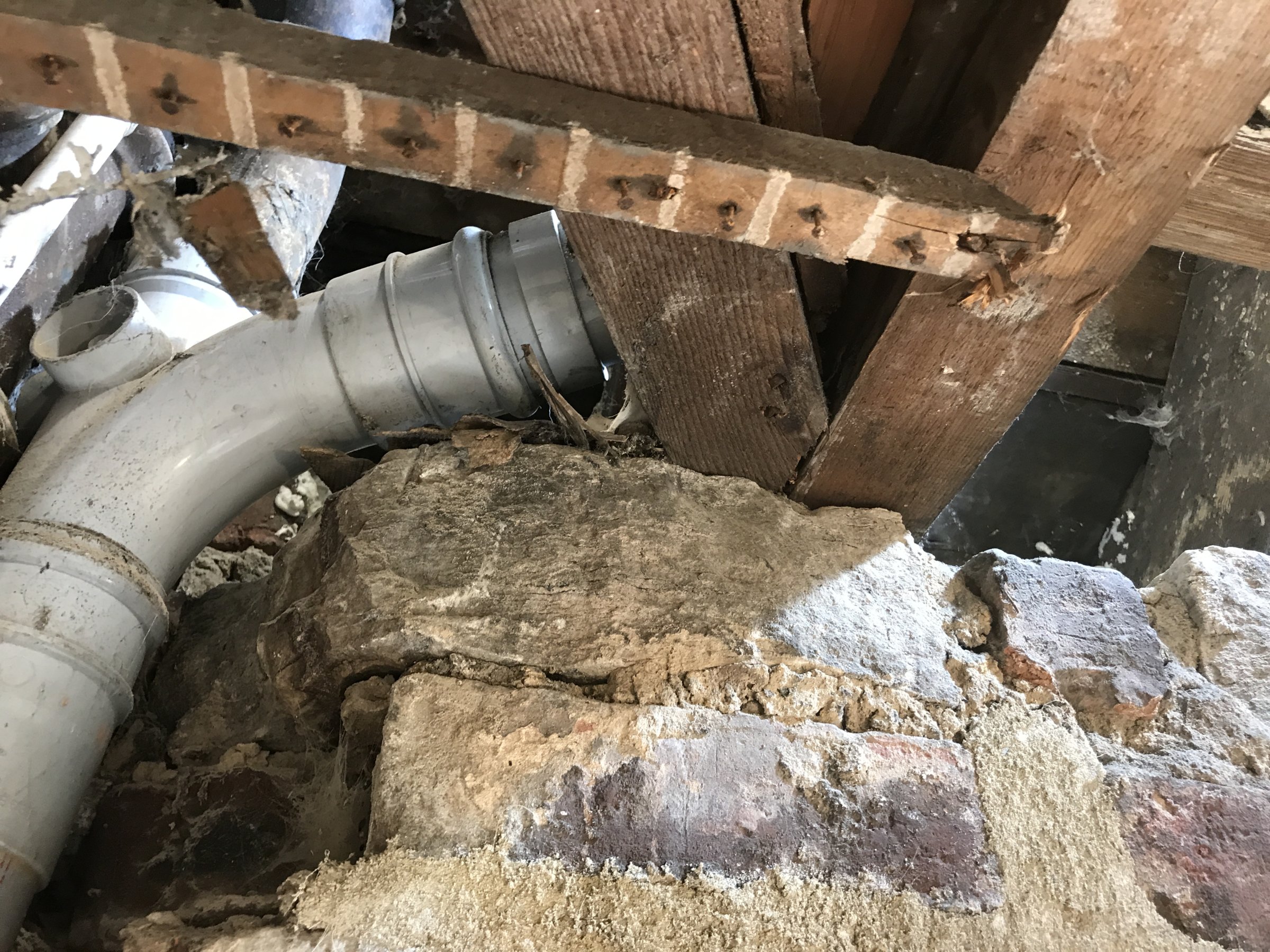 5DC428C9-D857-45EC-874A-BB6186ED8A12