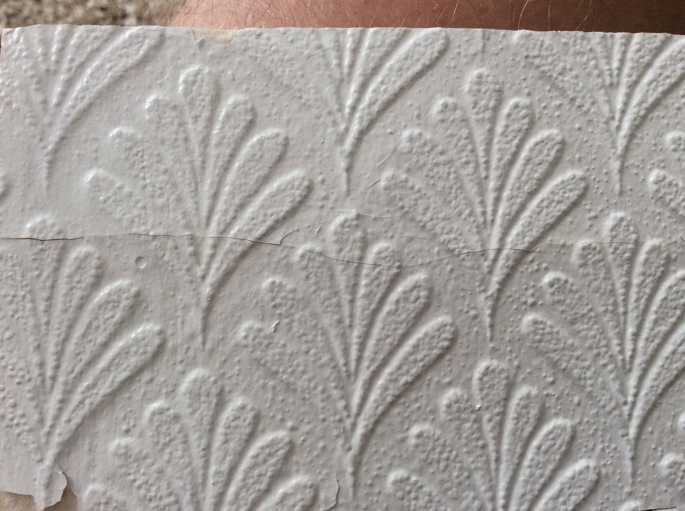 5F8A42CE-4417-4B64-84EE-44F45E4652E9