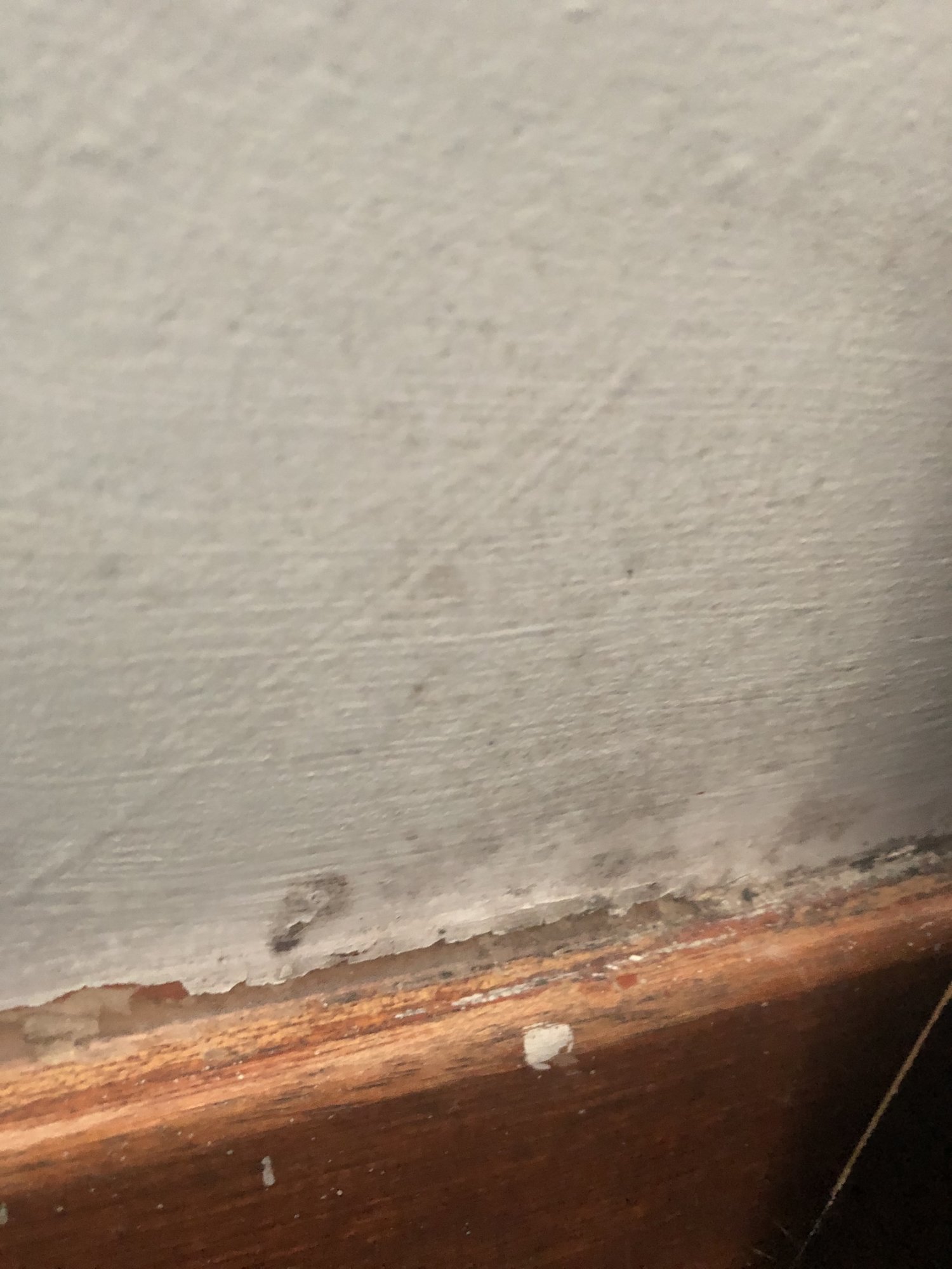 6D025D45-EB42-4D70-93C6-01D7EAB8738A