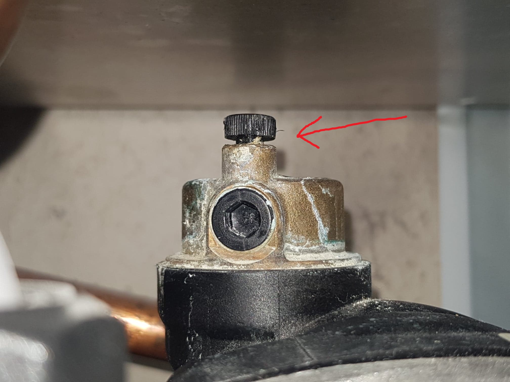 72999150_460171688179324_5717573739902664704_n