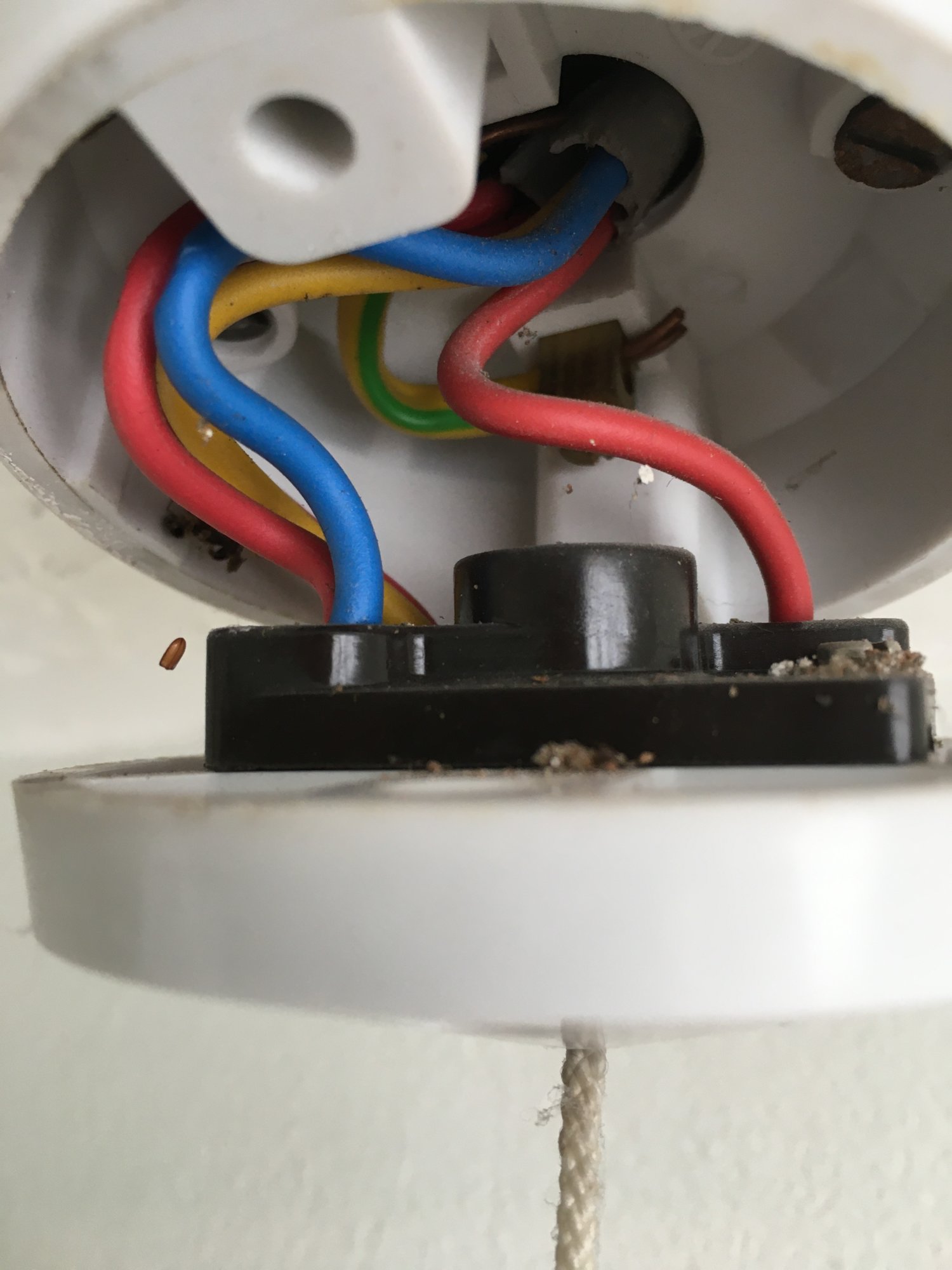 74287863-94BD-411C-85D5-74AEAC17C694