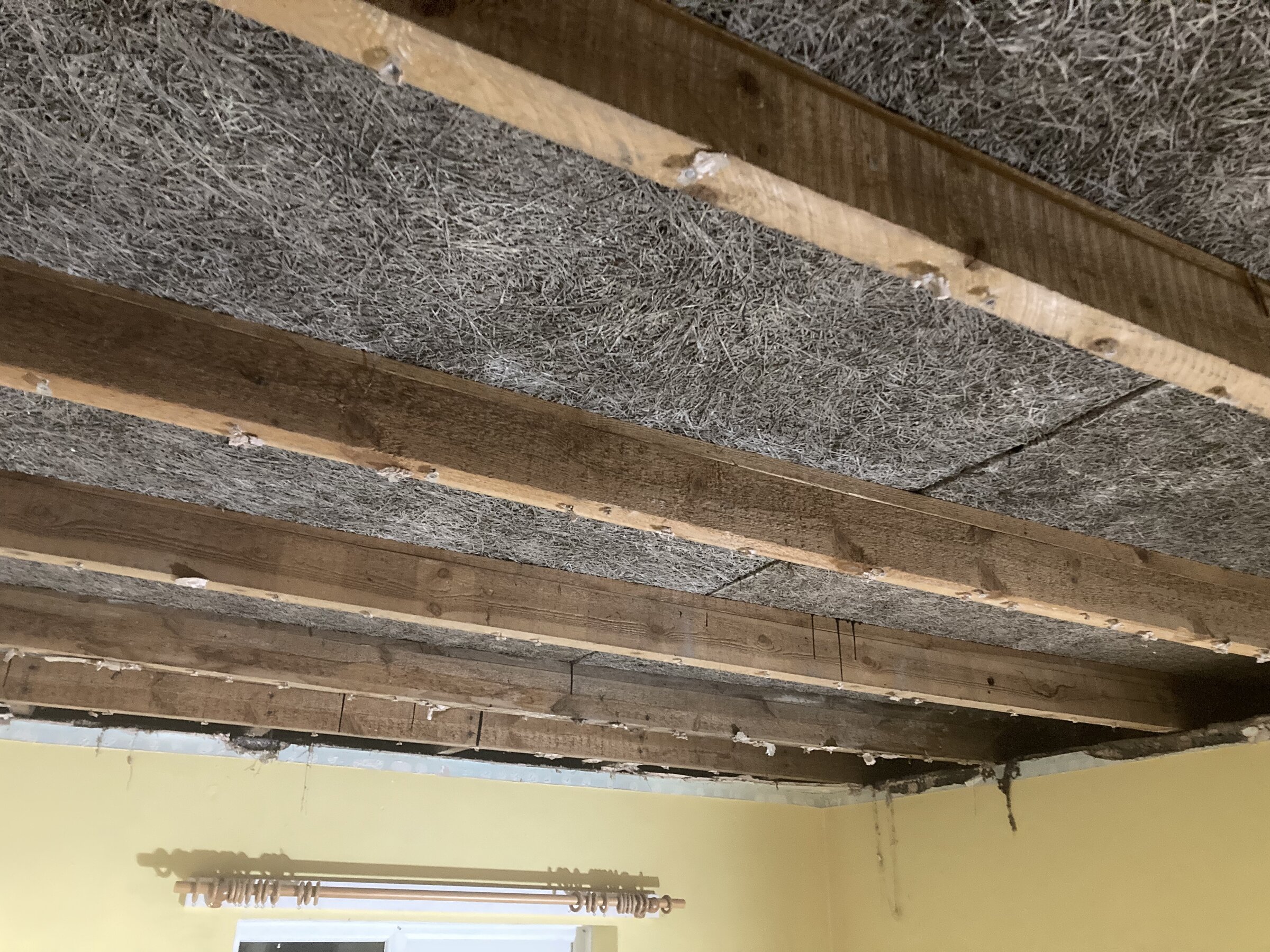 785A43C8-7E45-4549-9A9B-CCC192197BF6