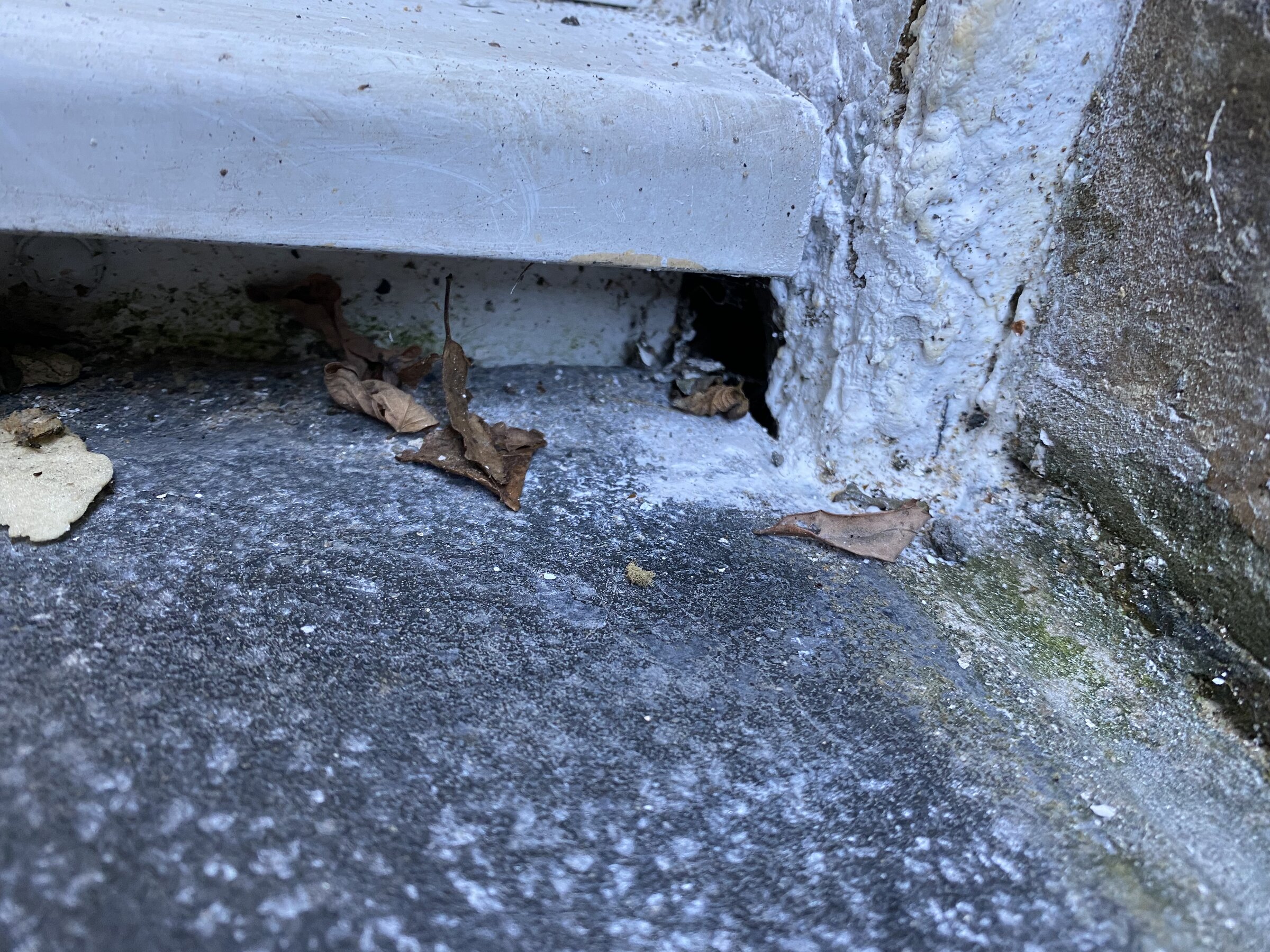 7B69AC15-B9B1-45D9-8706-AFFA8D8BEBFF