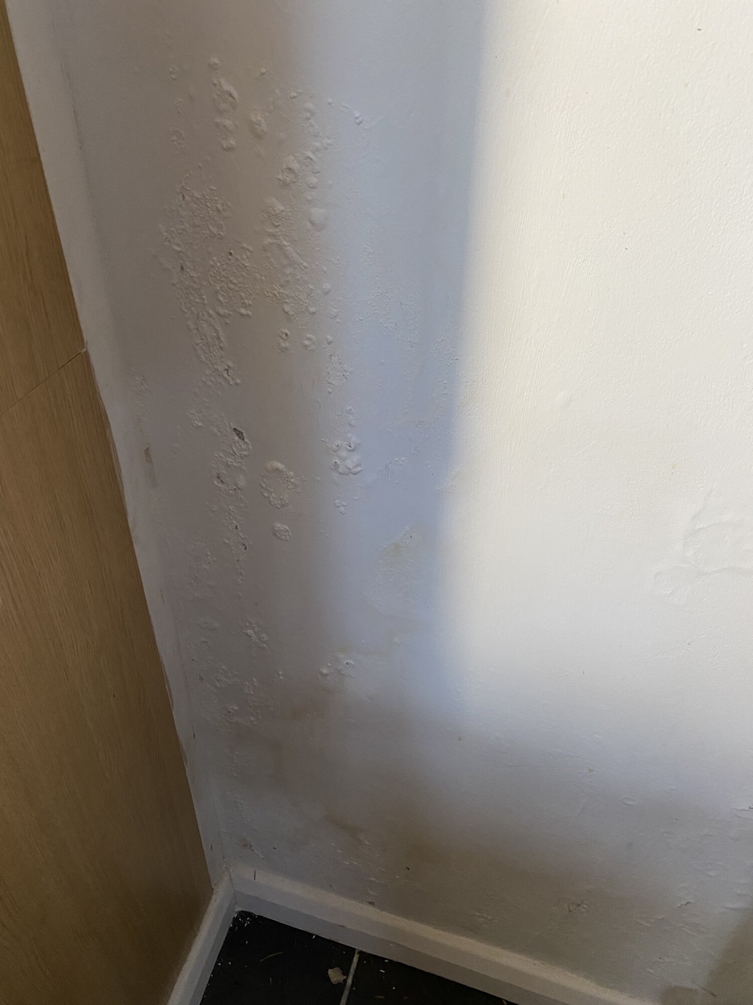 7D46DDAF-94CB-4D28-B49B-13E746D851AA