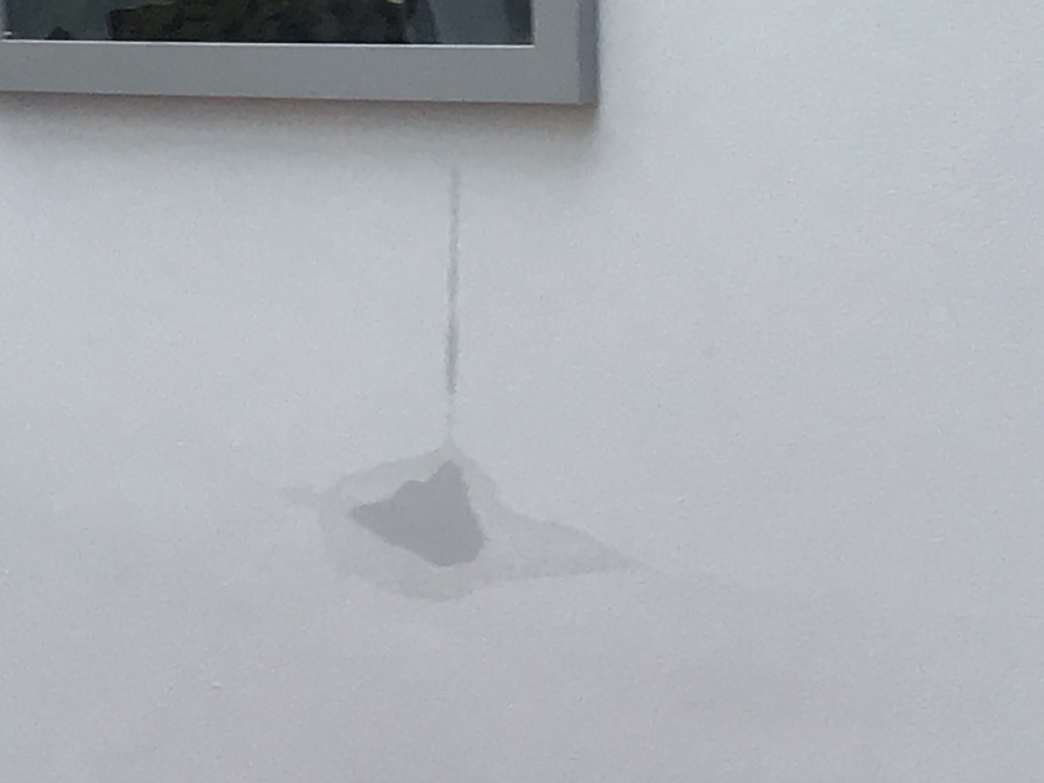 7F917E25-3C6E-44E4-AECD-BEB47AB62AEB