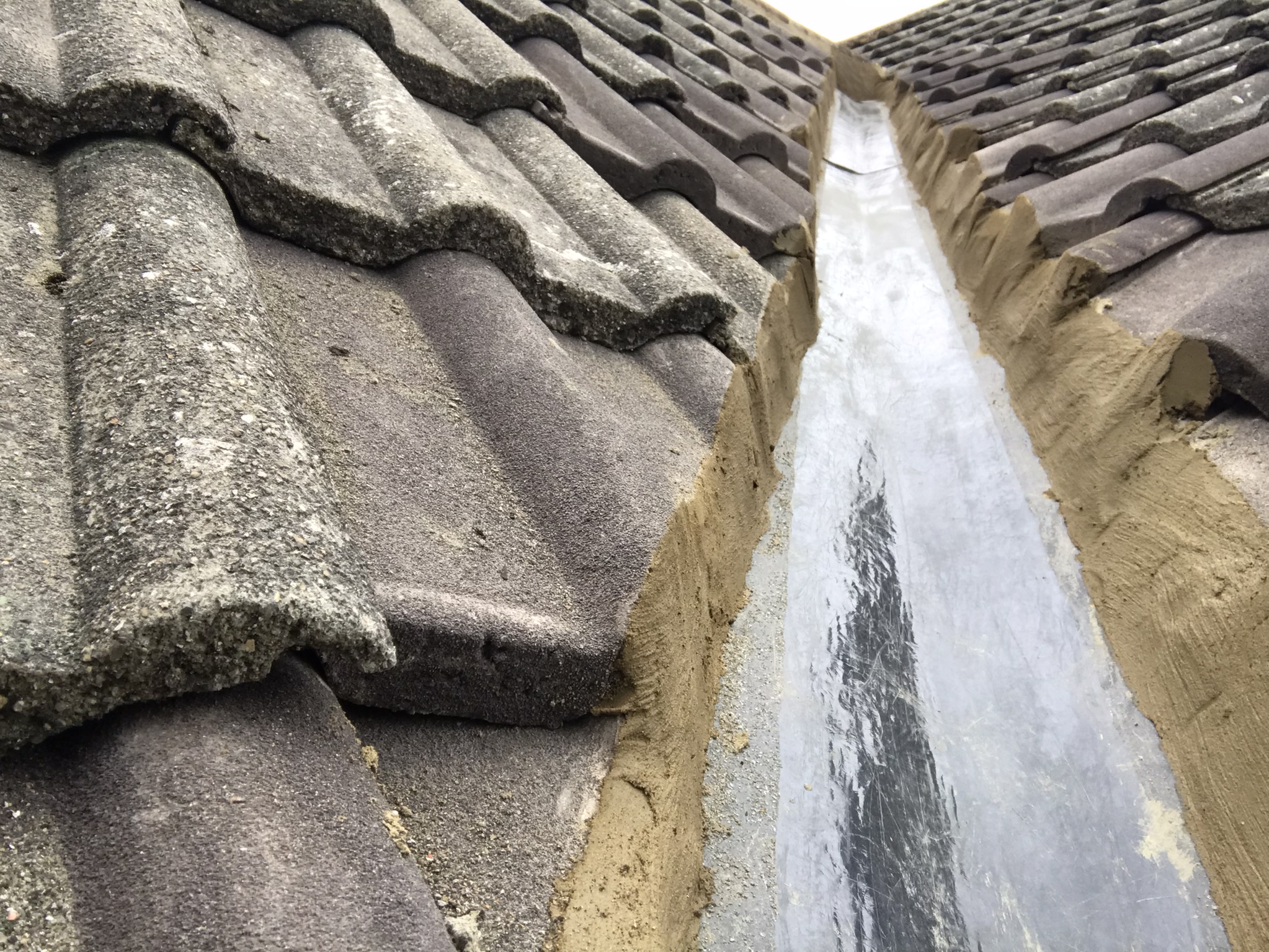 80F8D2F9-4BE7-4BA4-82F7-3AAA27136180