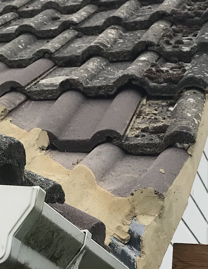 8AAFFA77-CE67-413E-A2B0-506C028BA243