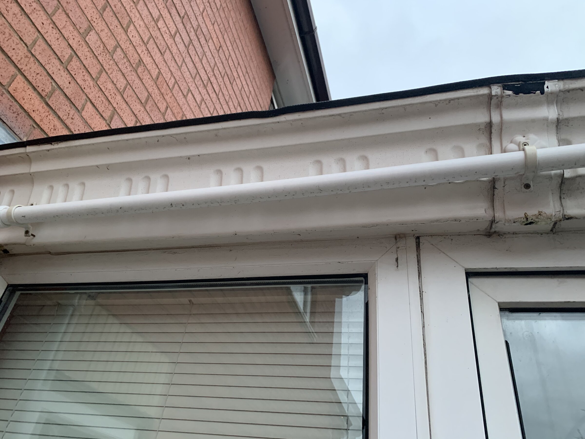 8EF73263-F6F0-4C41-A014-C3F4A7C39A54