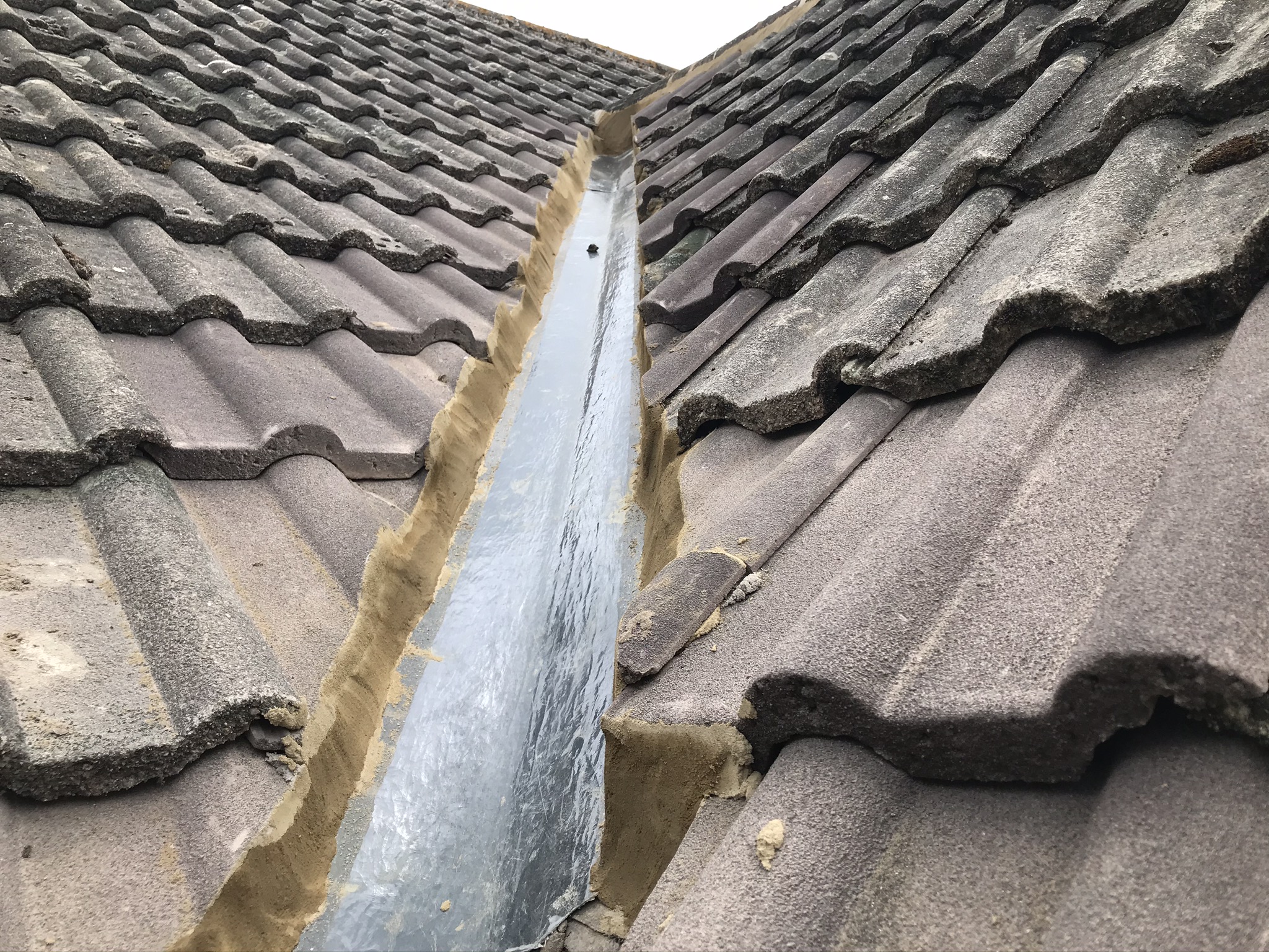 934FF162-690D-4D57-84C6-00F1DFA38D50