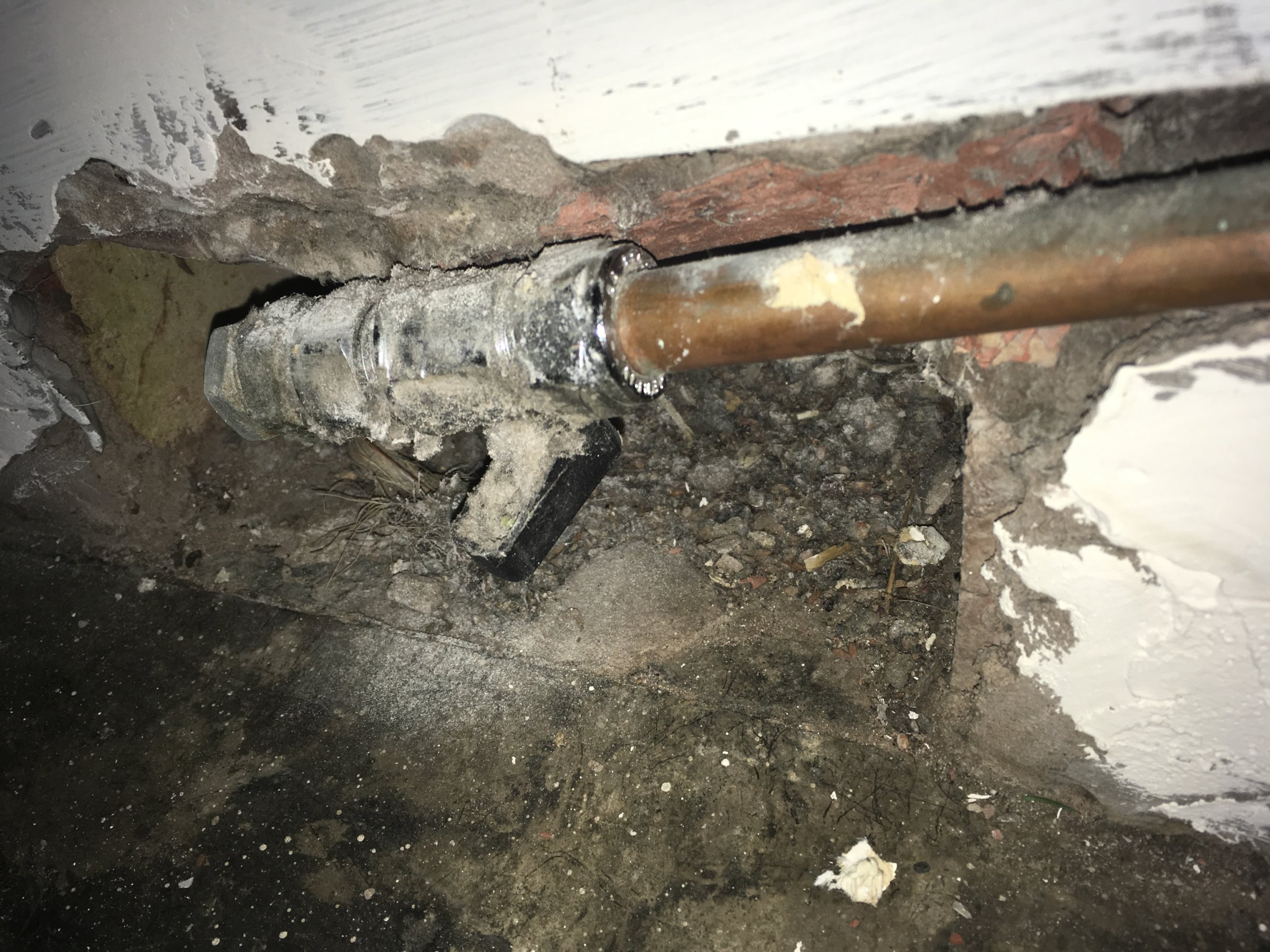 95FAE915-CA6F-431E-81C3-3A80BD61FB14