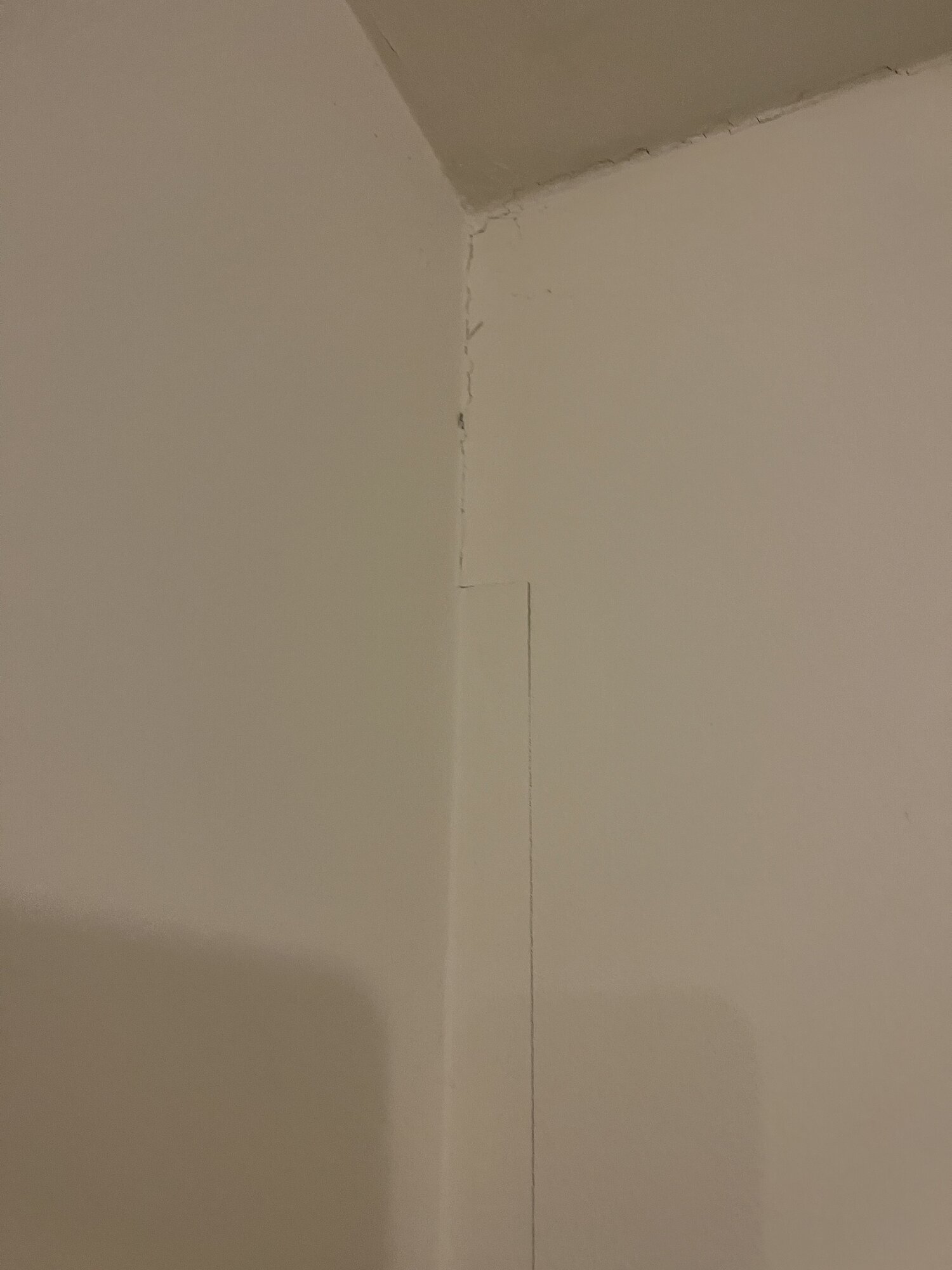 9BDEC449-DE06-4D39-B7D4-6E43B22496FE