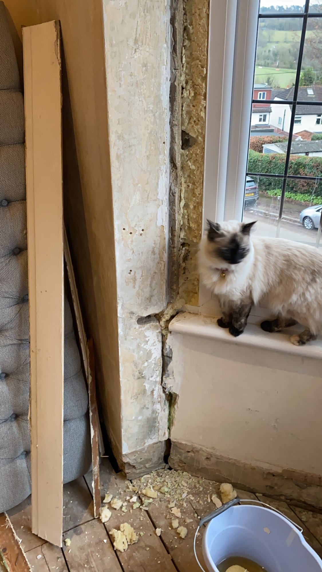 9E5709A8-FB96-437E-929A-1FCD02EDB660