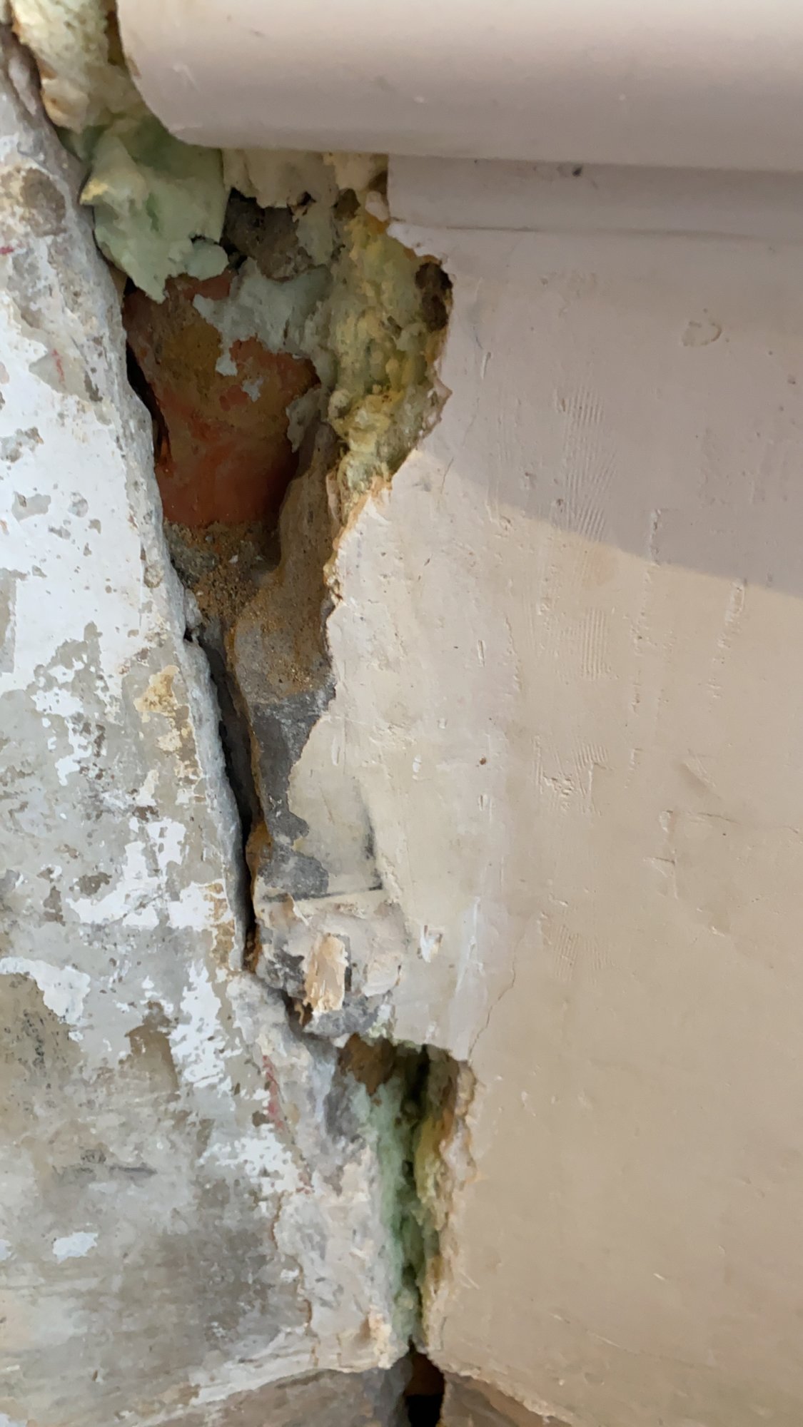 A01CAFBB-345E-4AAF-BBF2-3D6044E61E3F